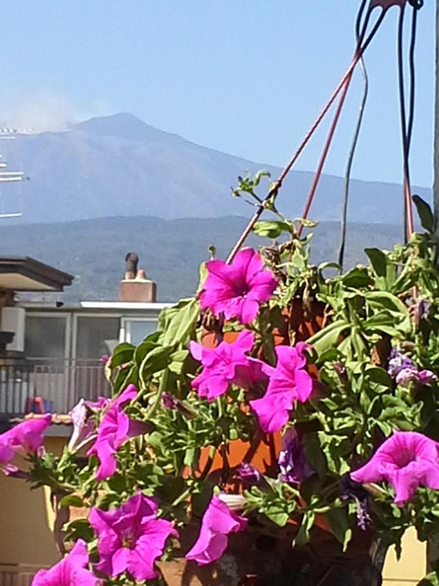 La Casa Dei Cestai, photo 34
