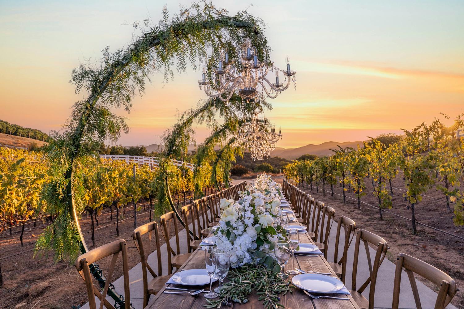 Villa on 5 Acre Vineyard Equestrian Estate, Pool & Hot tub, Events