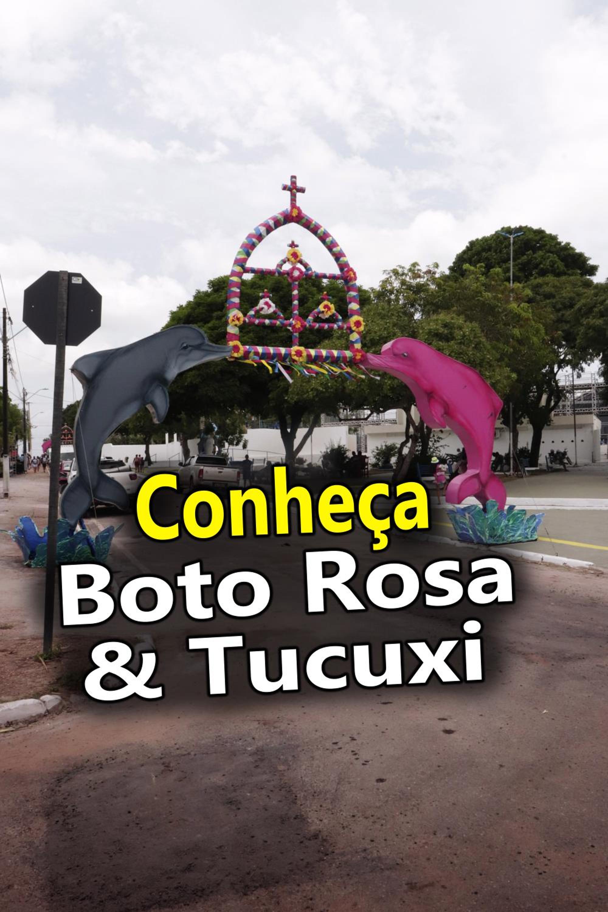 Ybirá - Casa Inteira no Centro de Alter do Chão