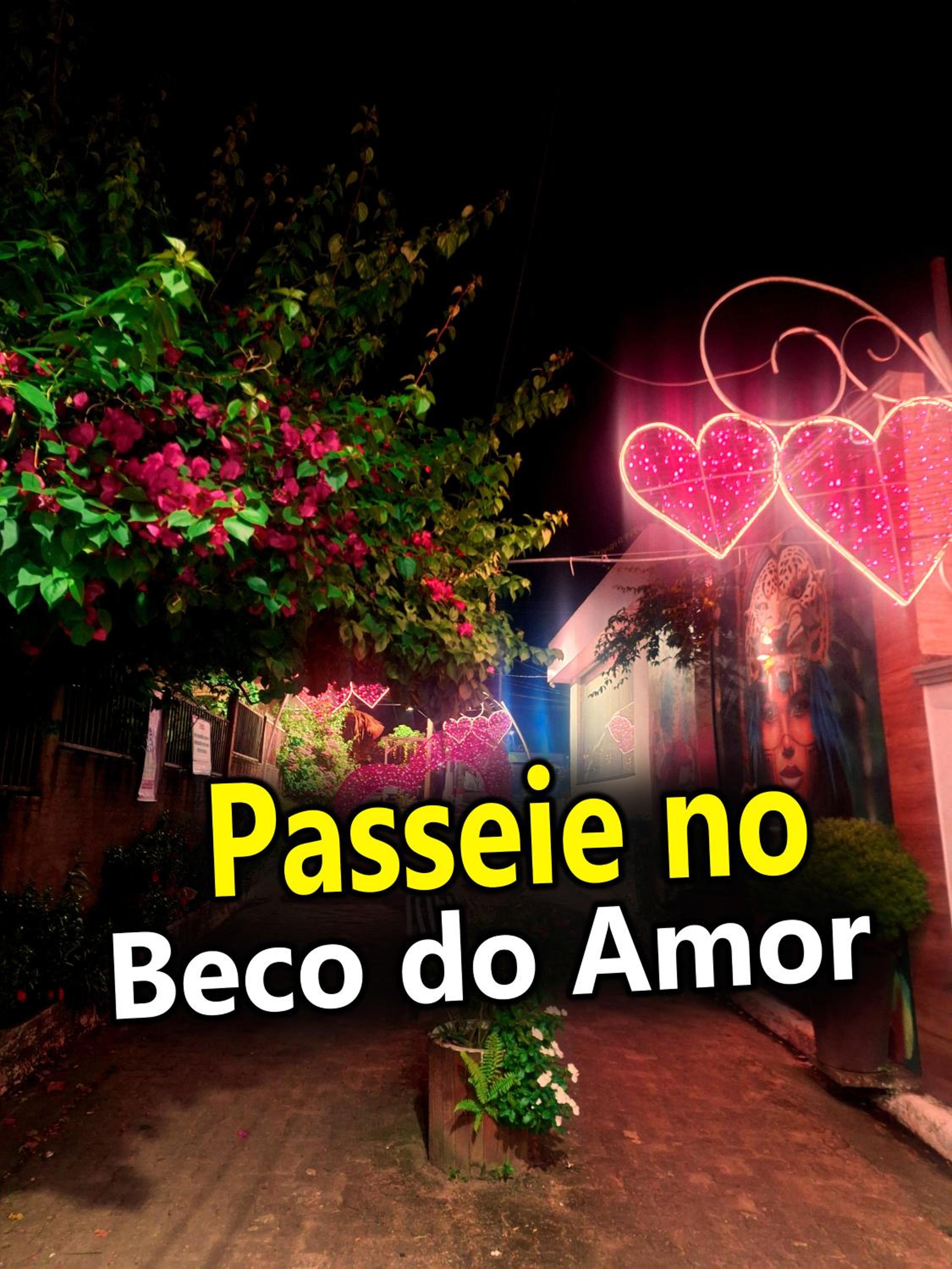 Ybirá - Casa Inteira no Centro de Alter do Chão