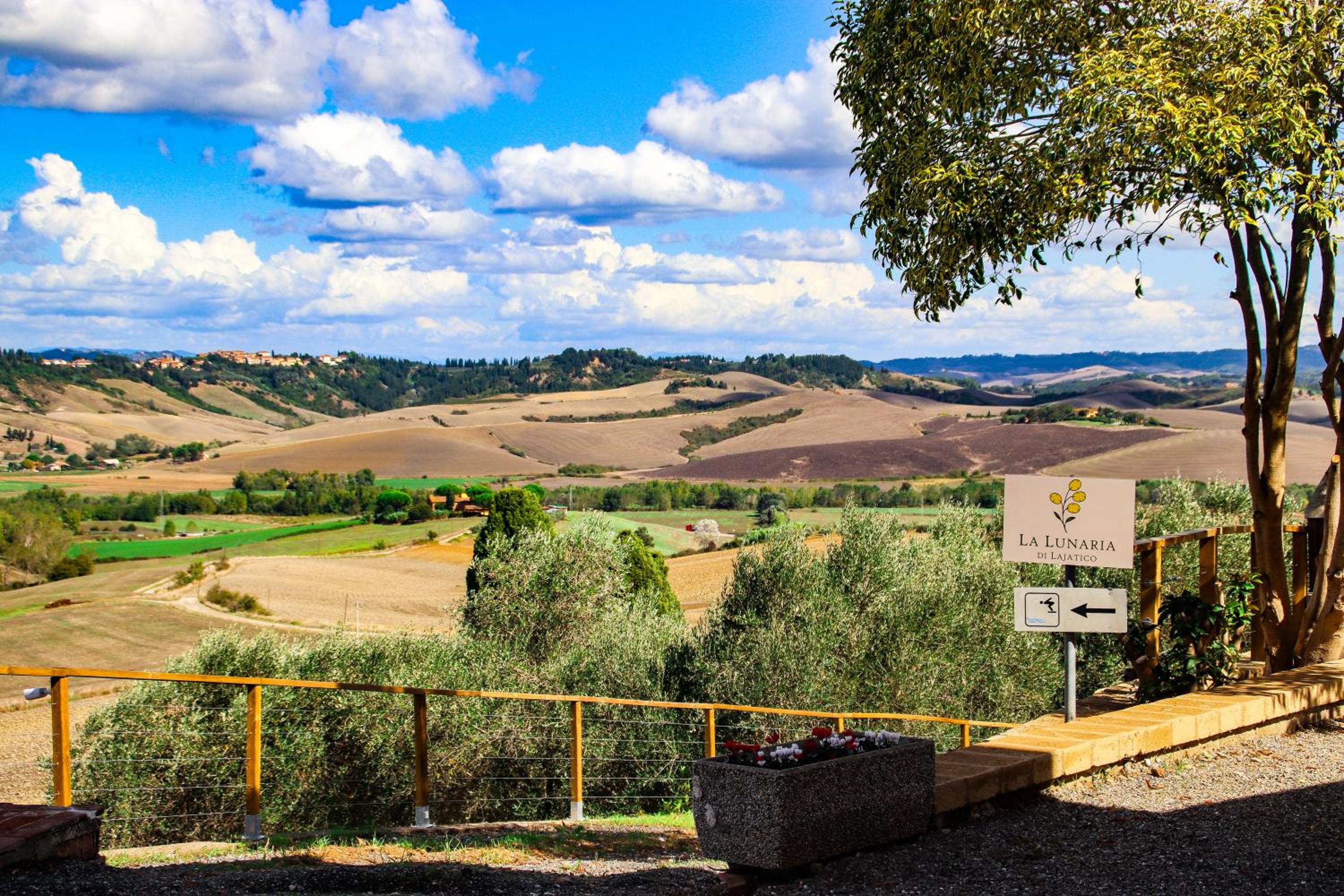 La Lunaria di Lajatico
