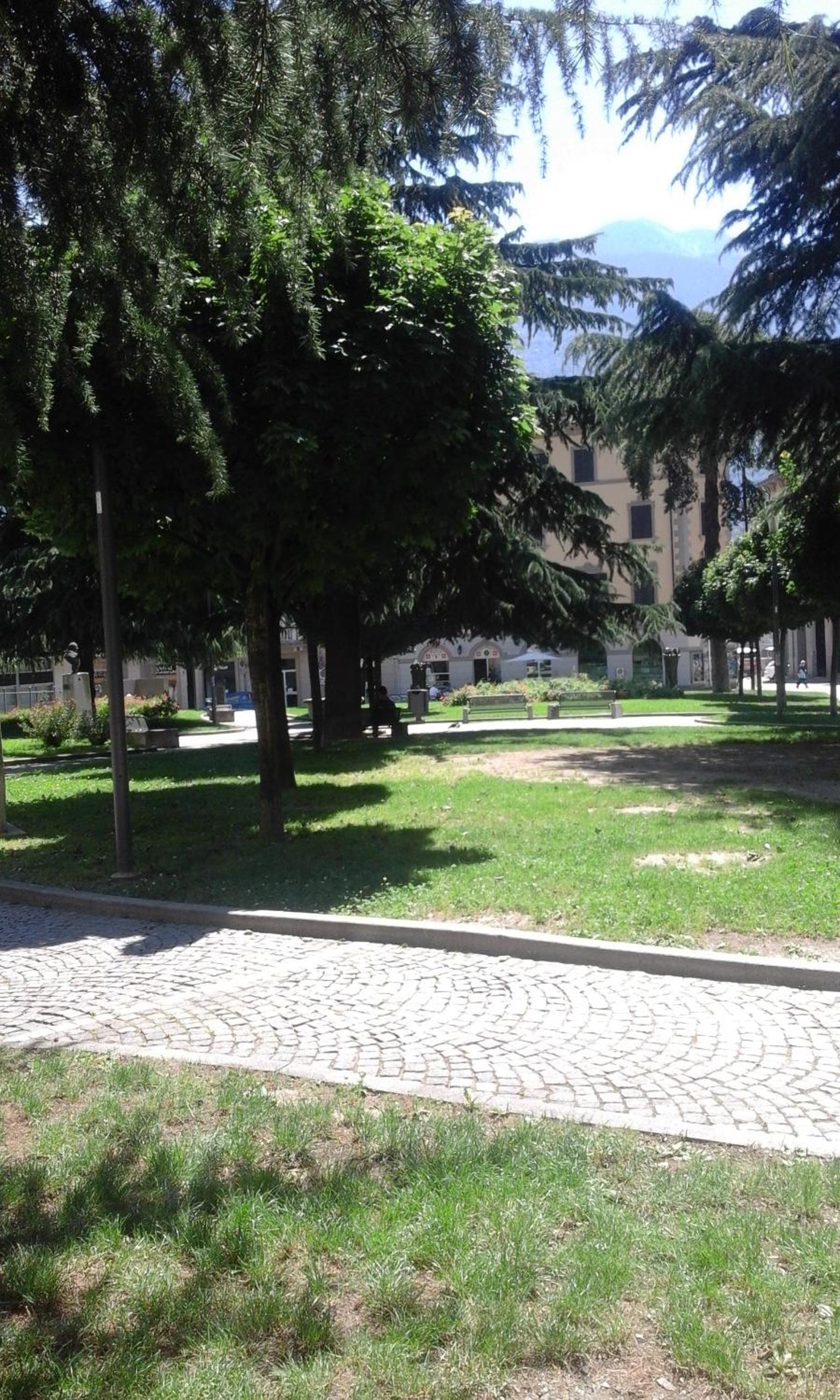 Photo 19