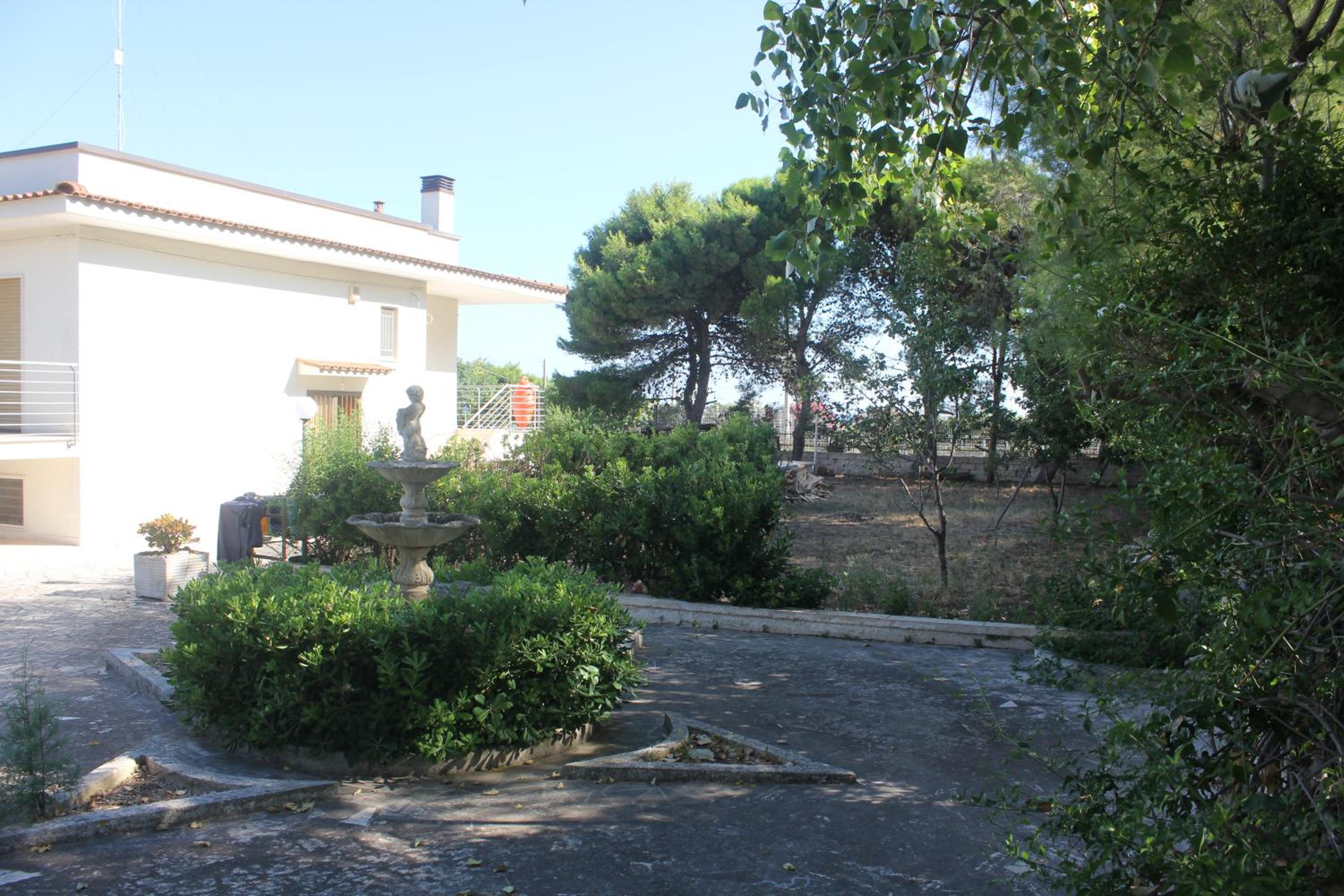 Photo 33