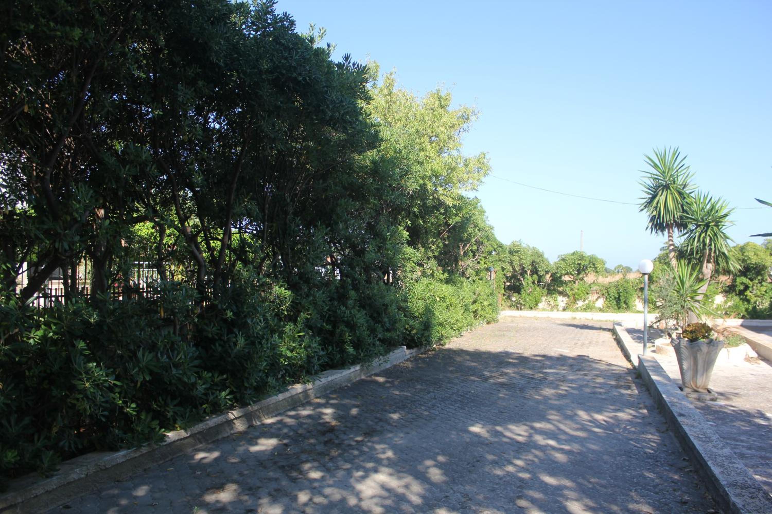 Photo 35