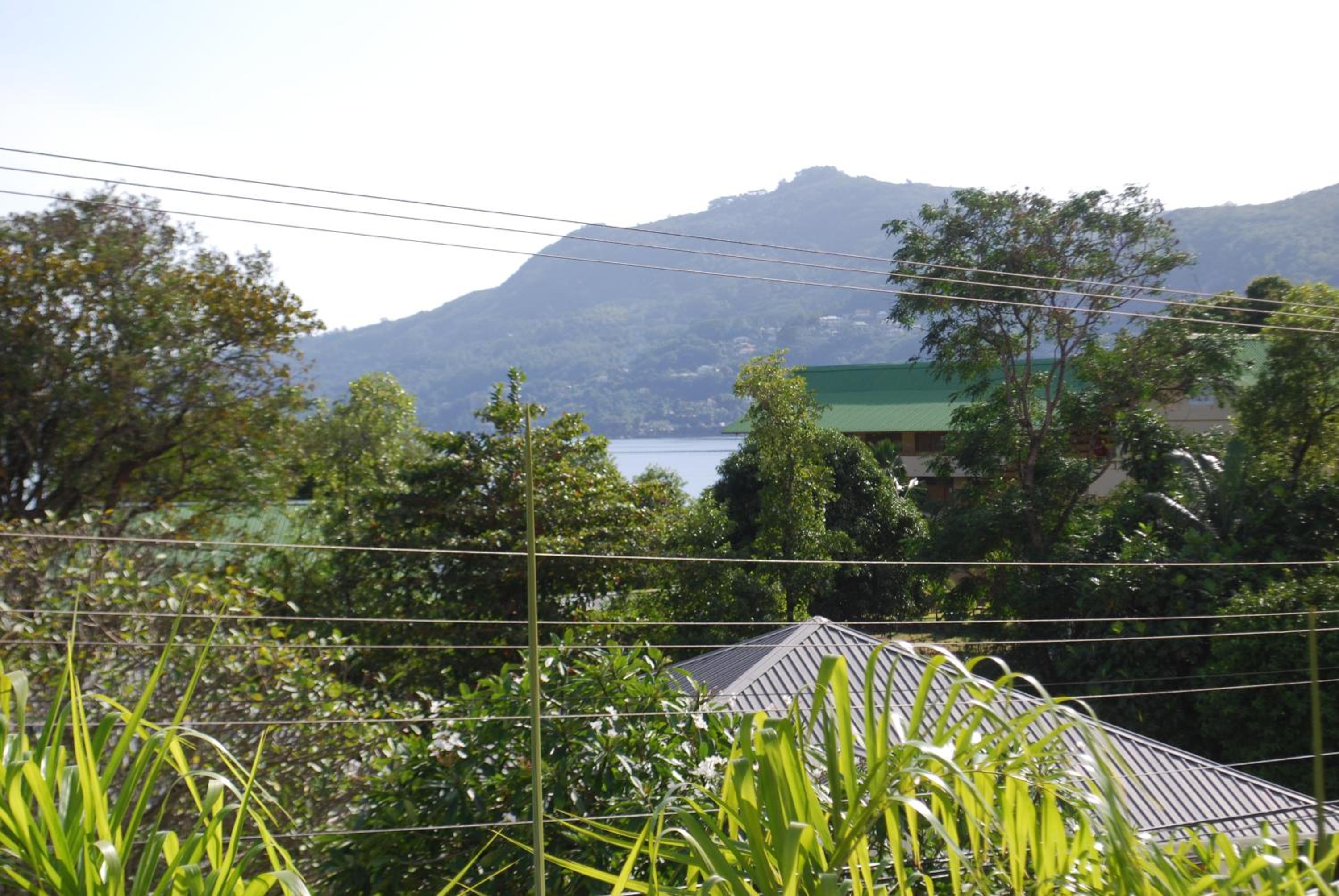 Photo 42