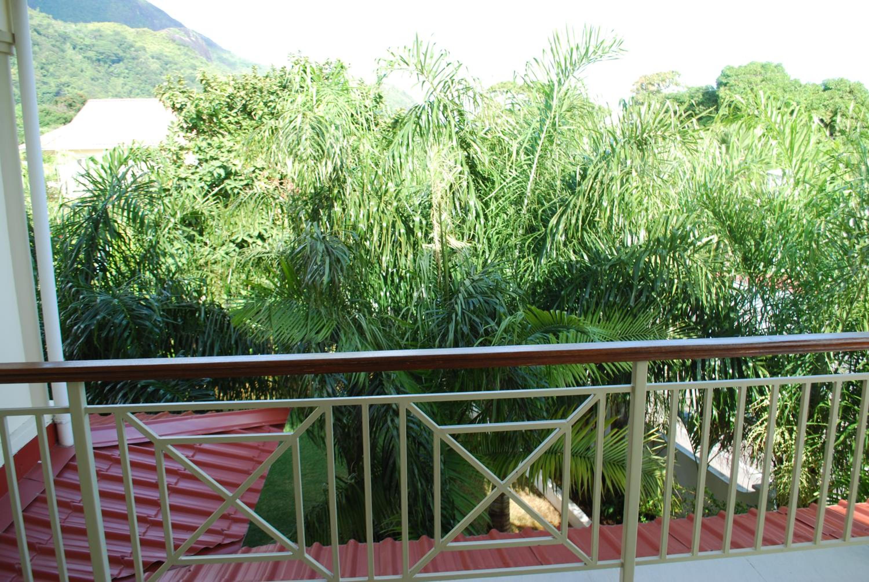 Photo 40