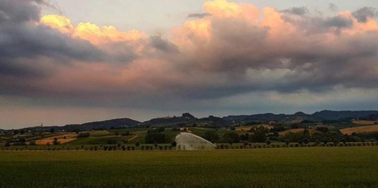 Felix House - Property Image 28