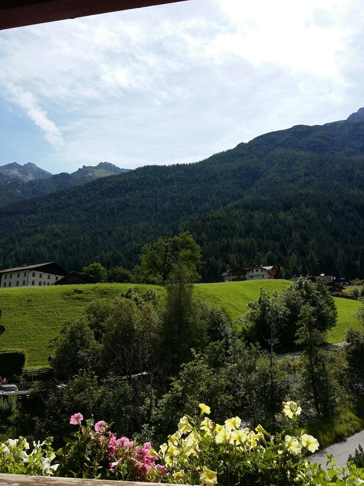 Haus Pinnistor