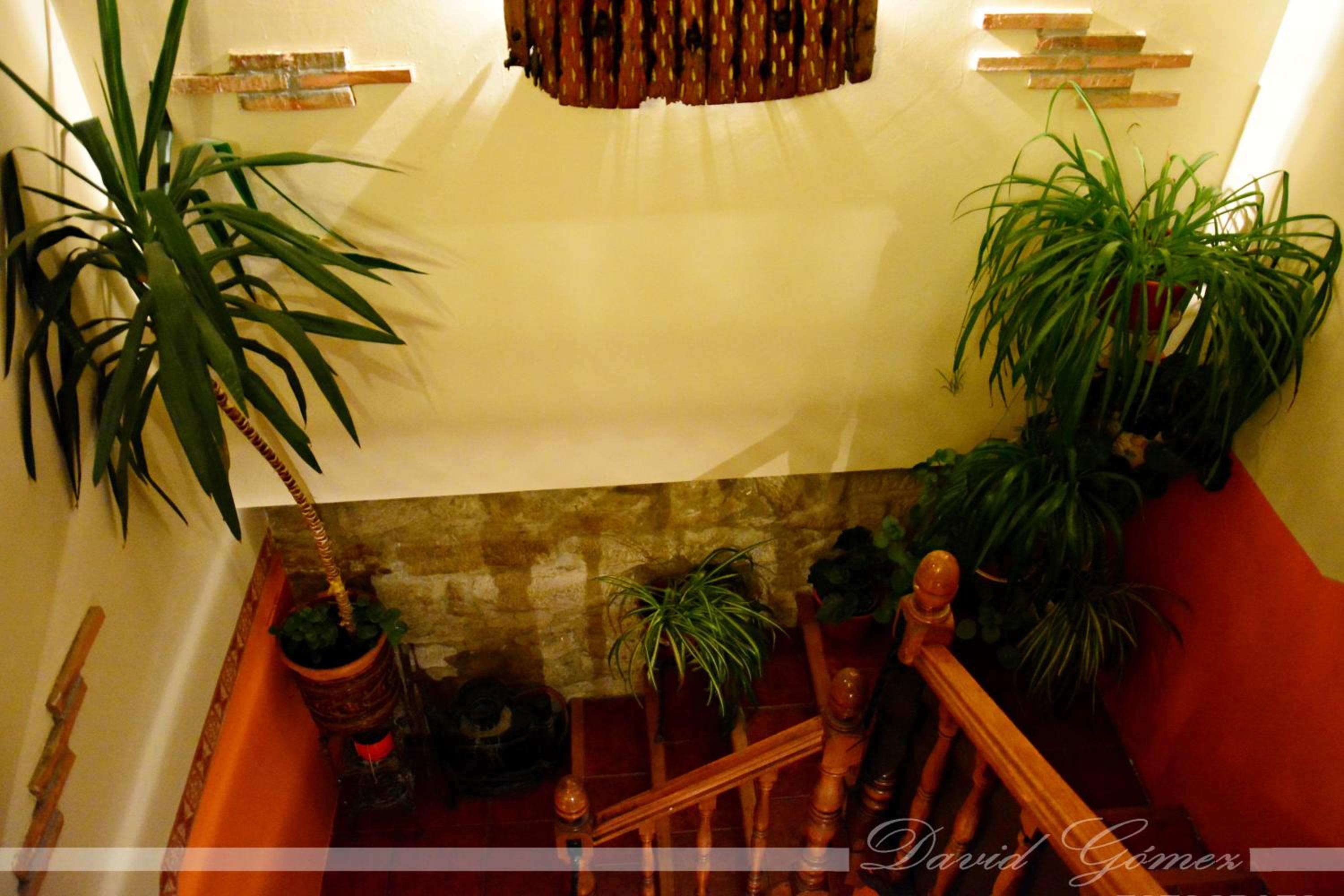 Photo 49