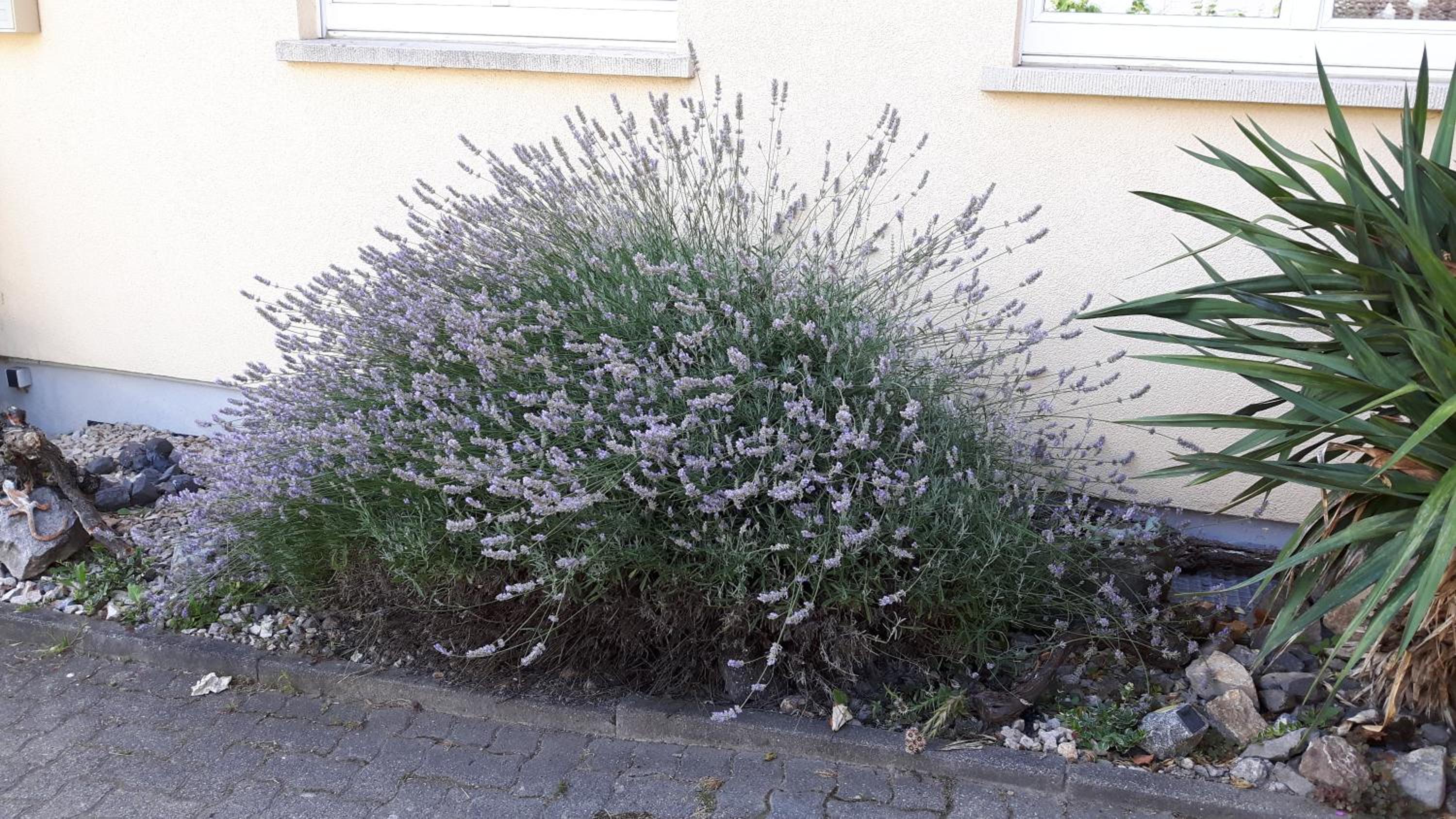 Winzerhof Senn