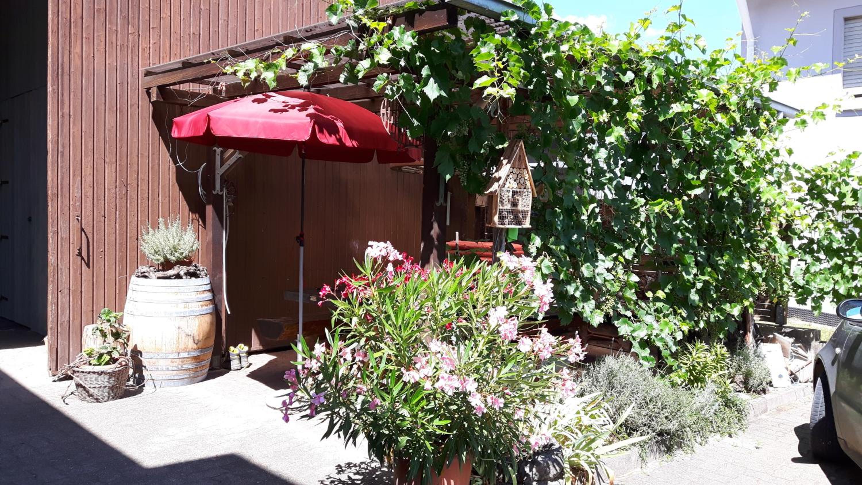 Winzerhof Senn