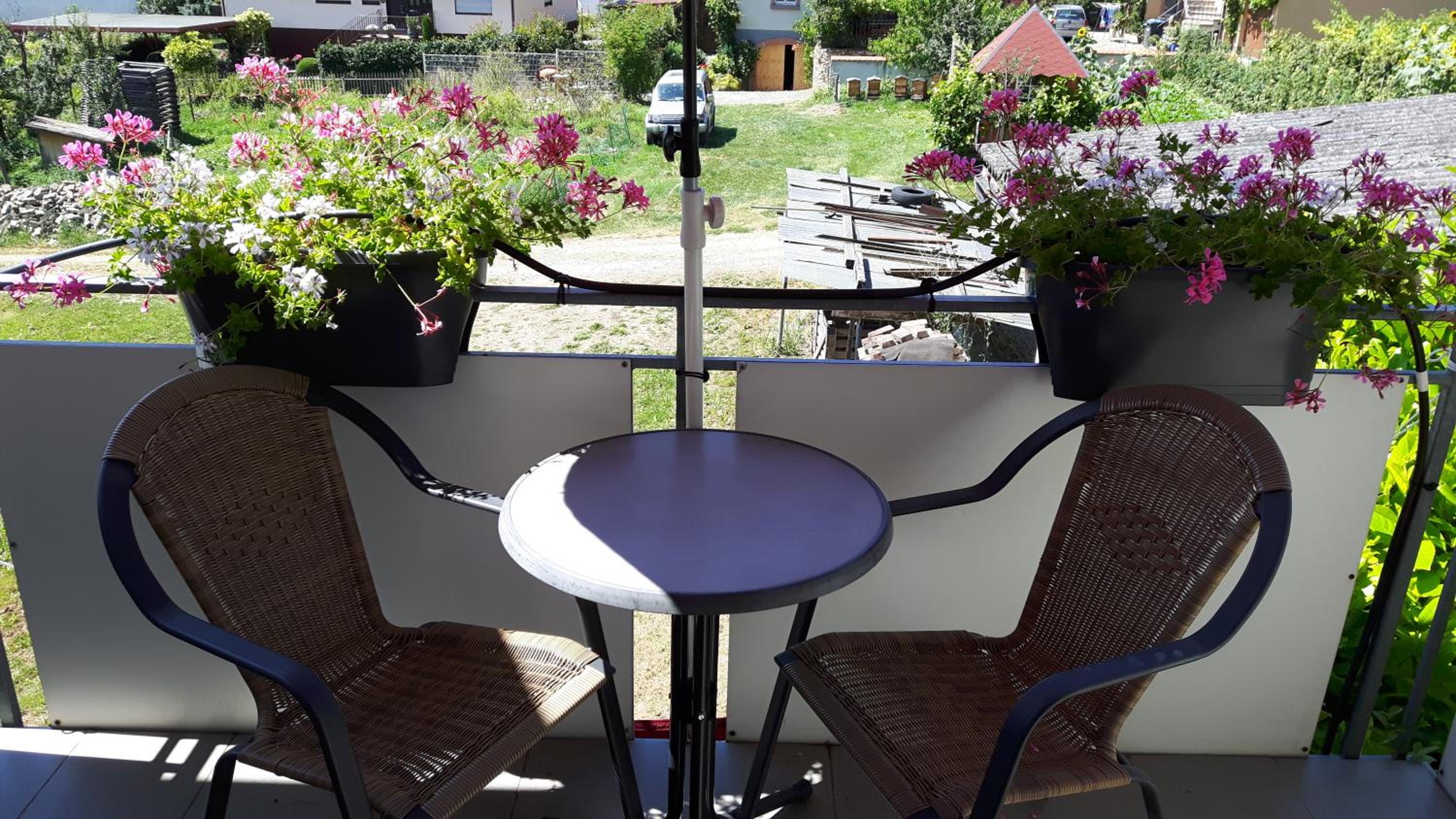 Winzerhof Senn, photo 13