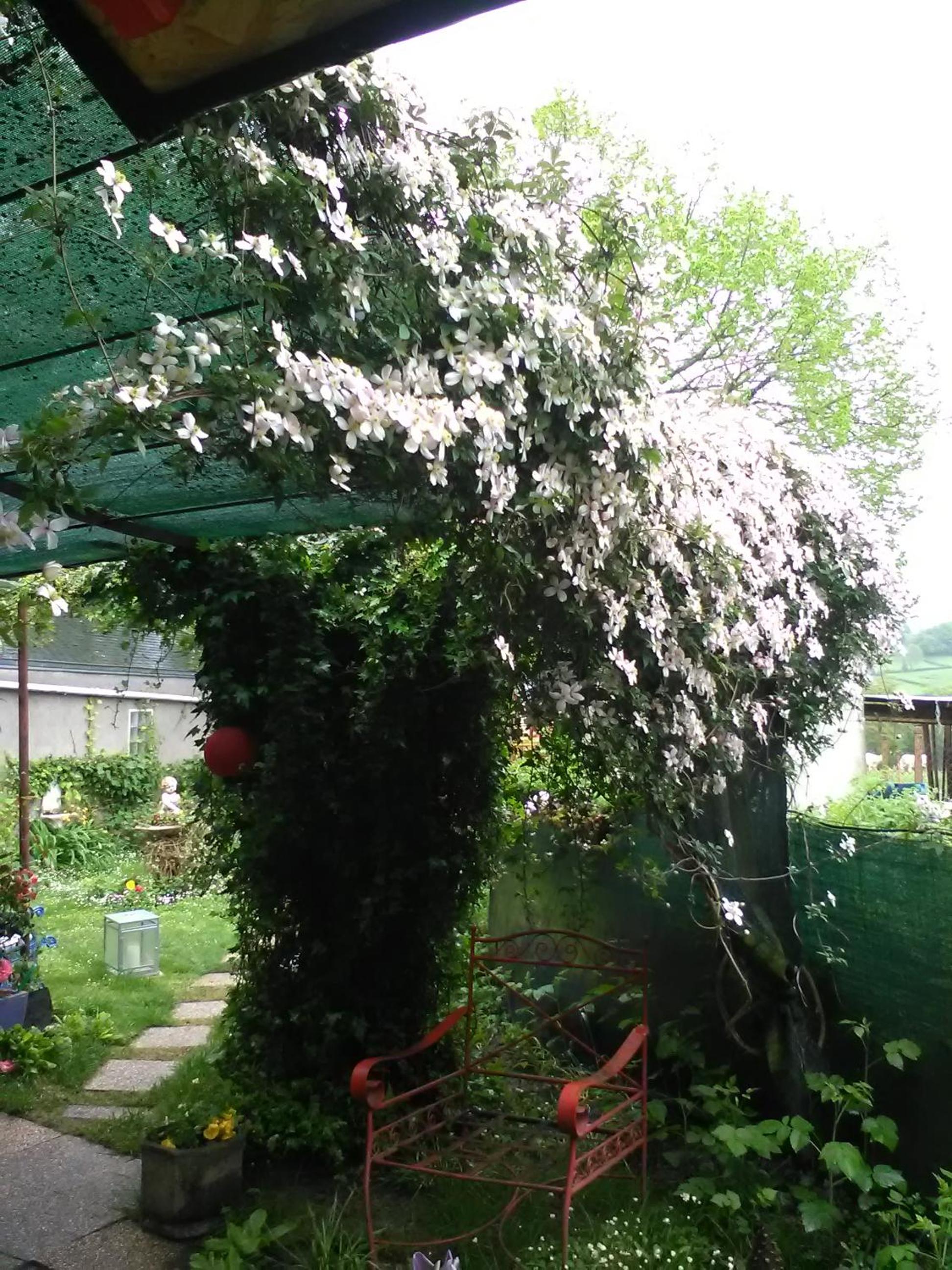 Photo 22