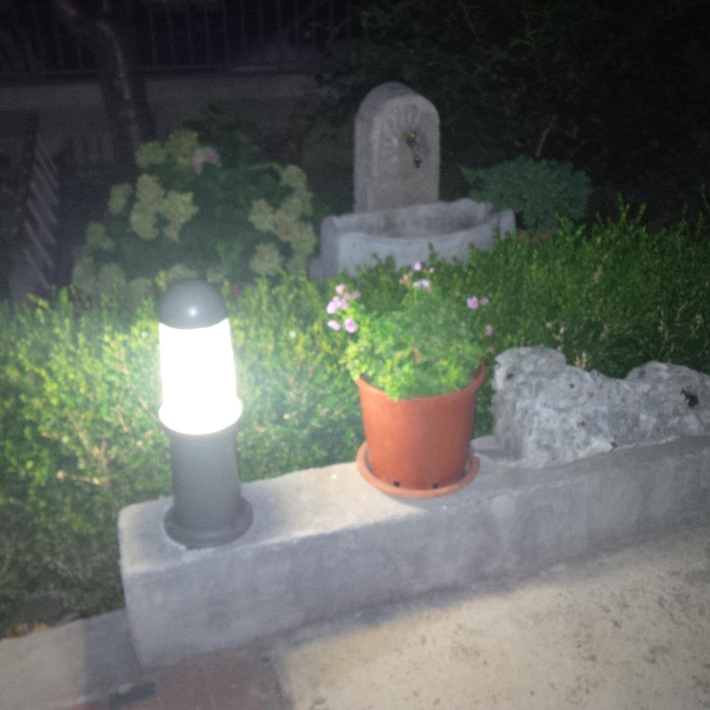 Photo 25