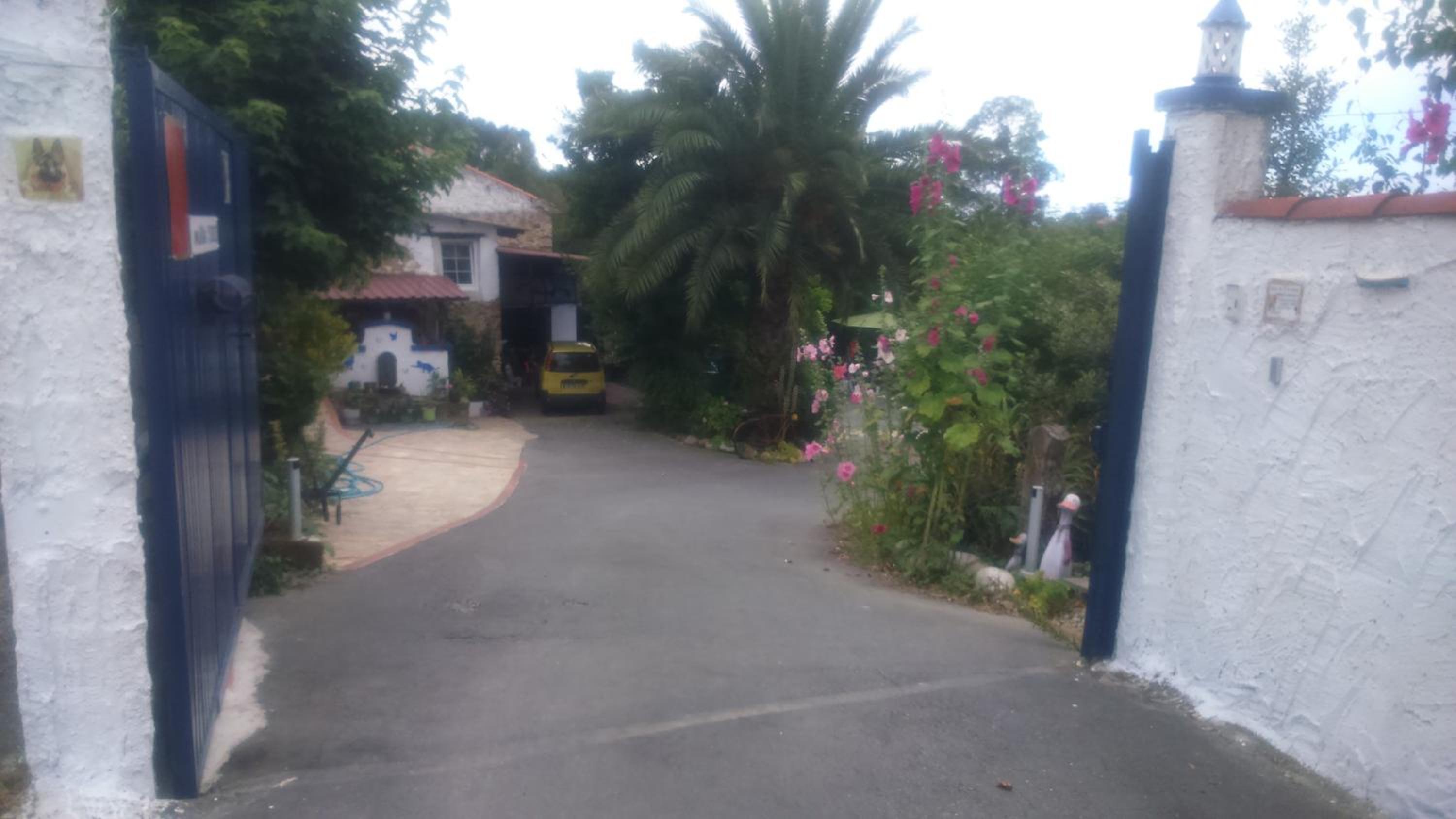 Apartamentos Labana
