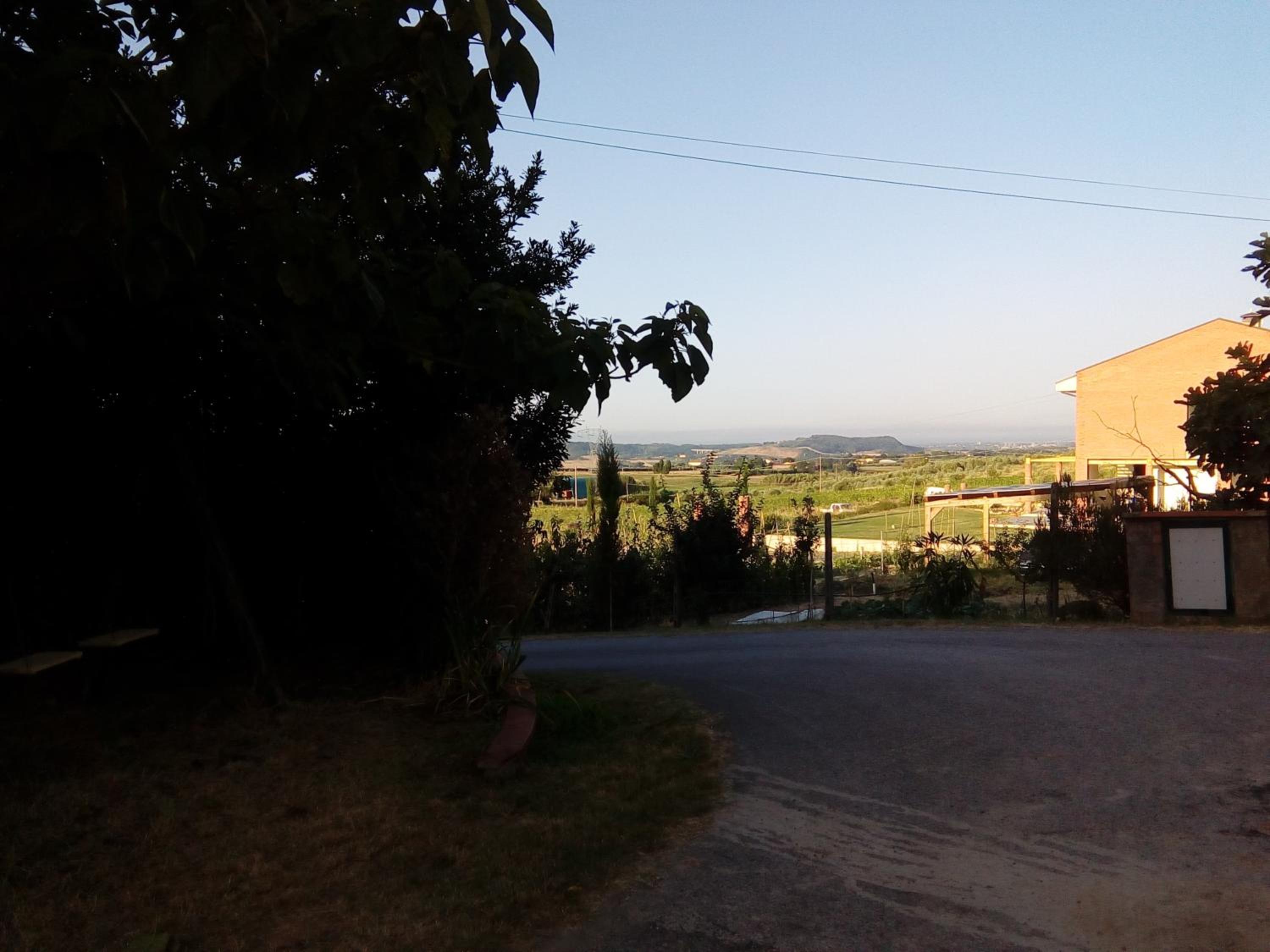 Photo 32