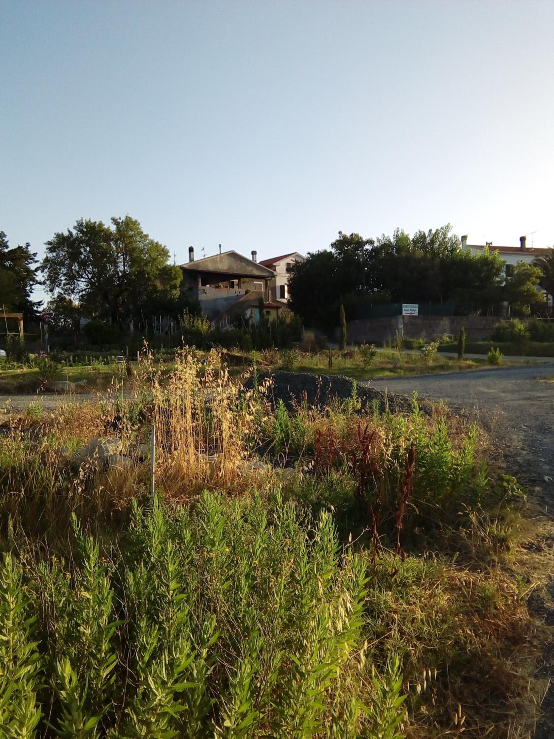 Photo 26