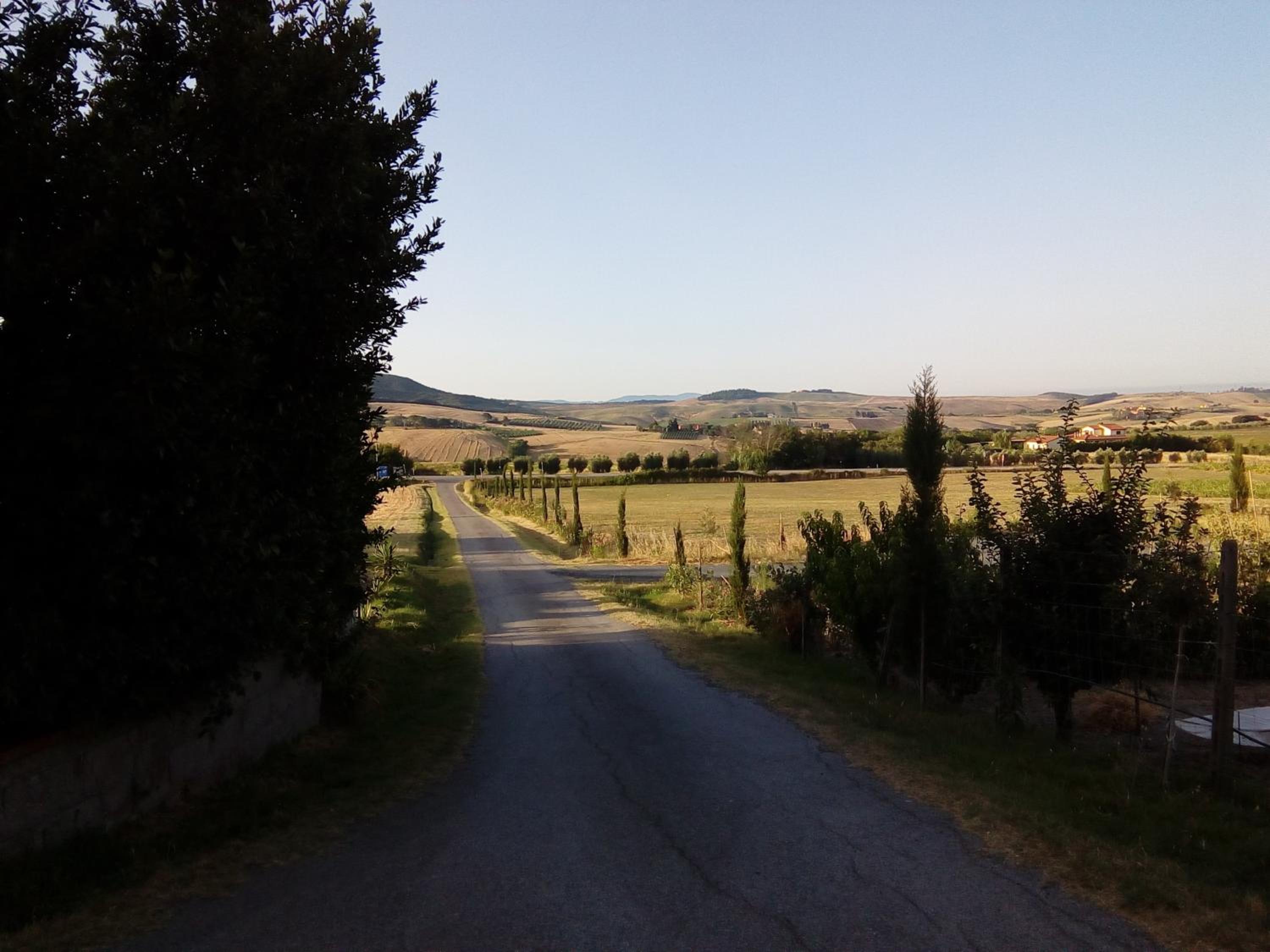 Photo 28