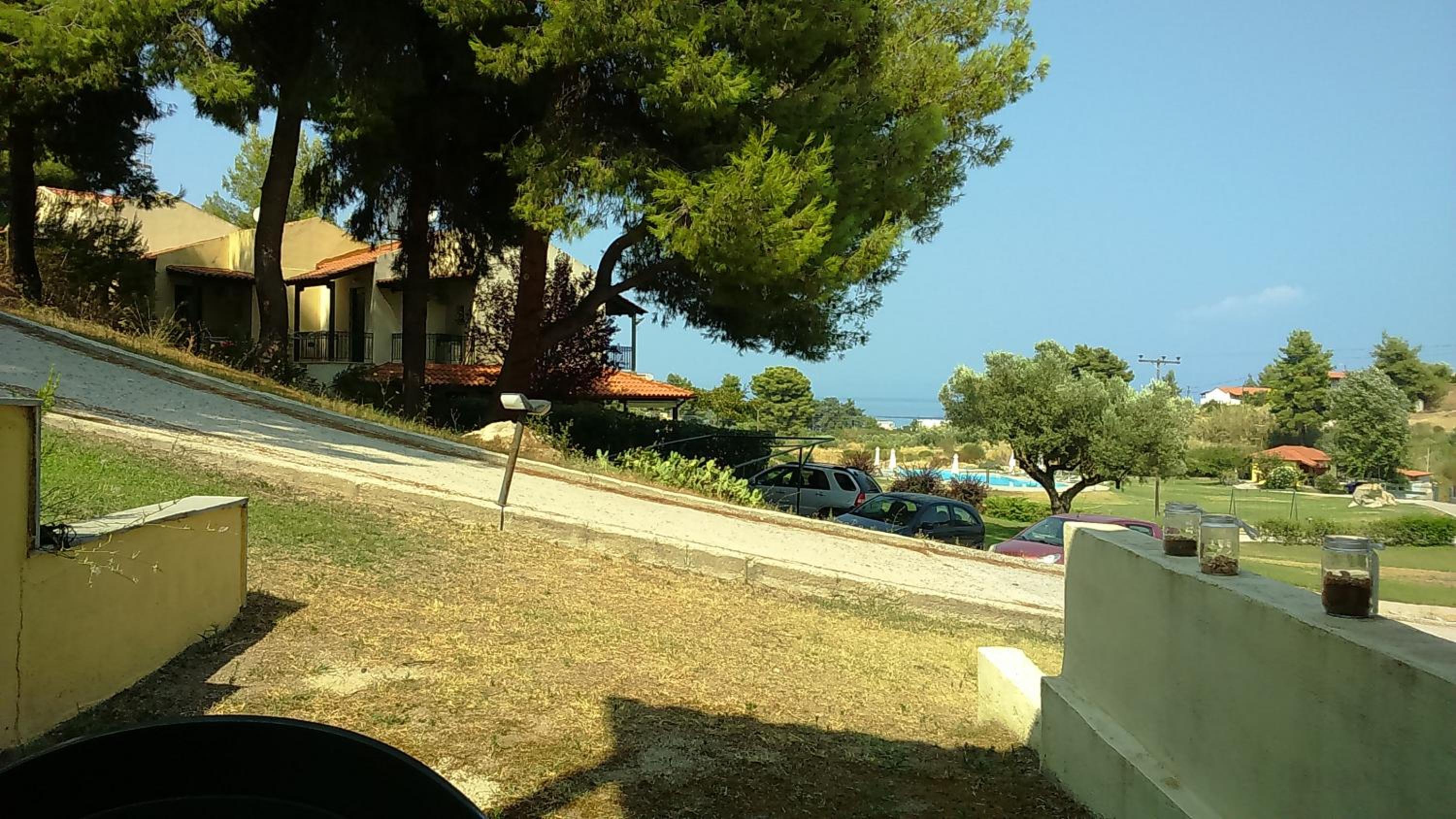Photo 41