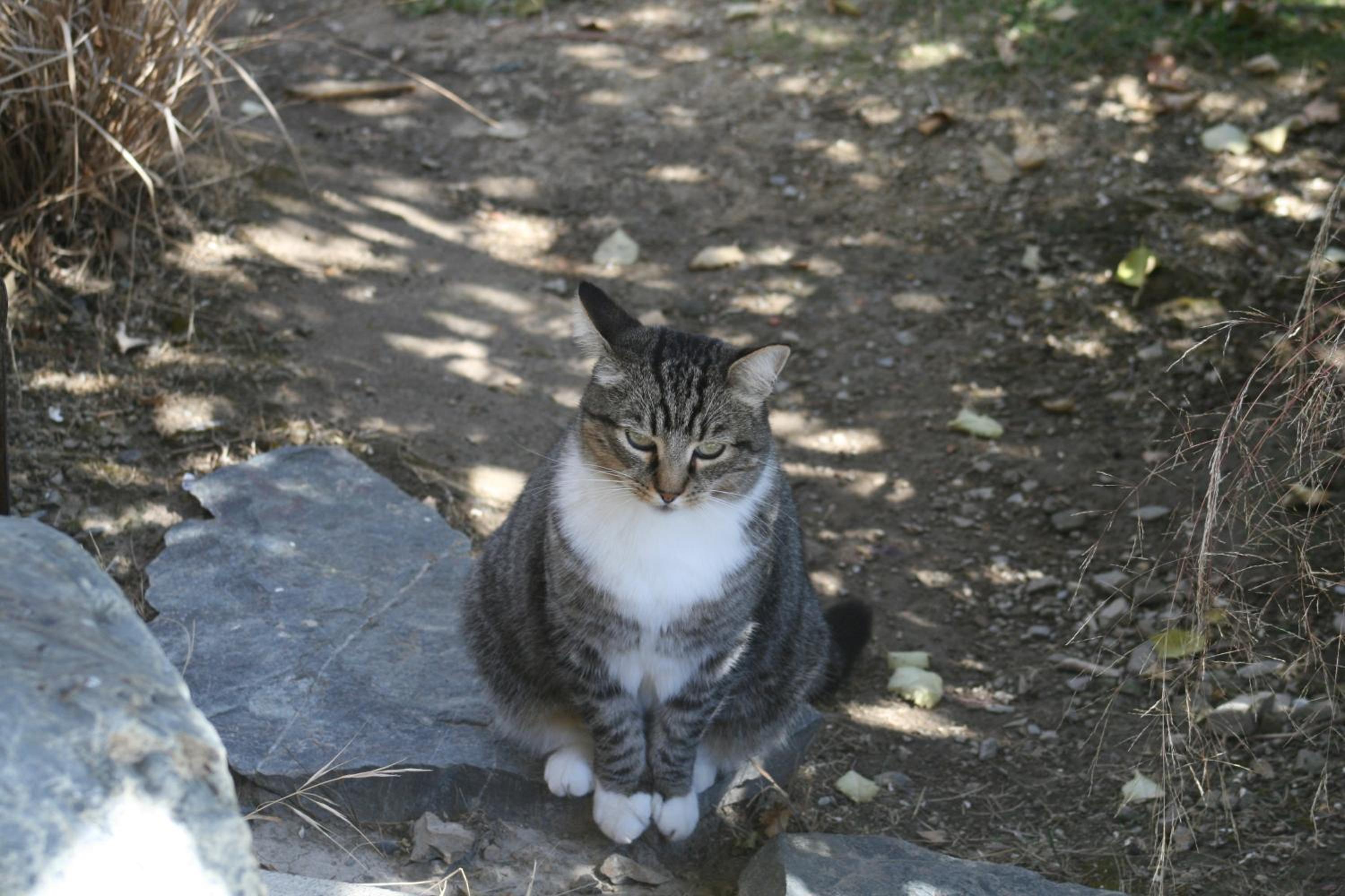 Photo 19