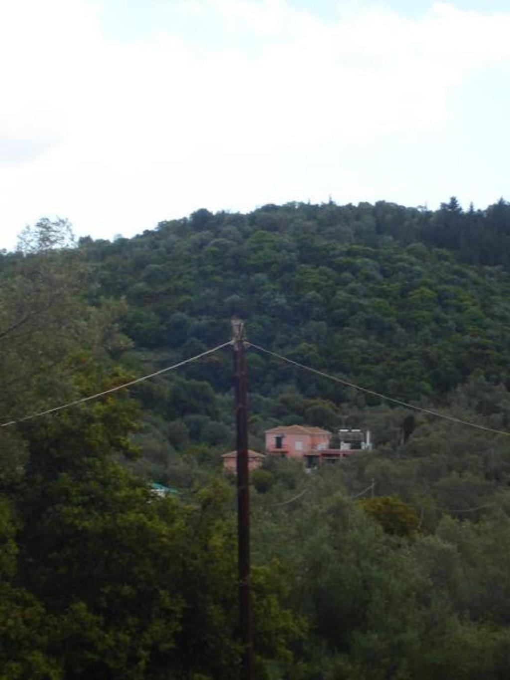 Ellis Studios