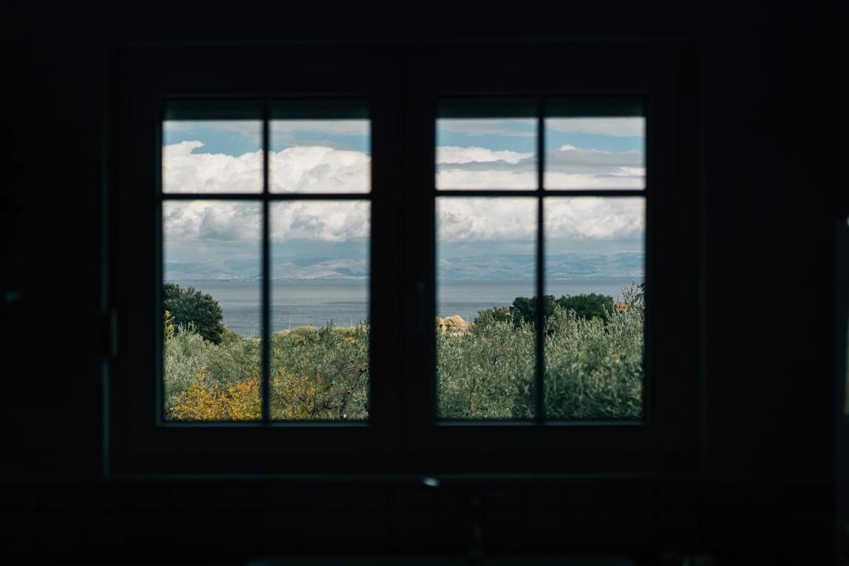 Olive Grove Retreat