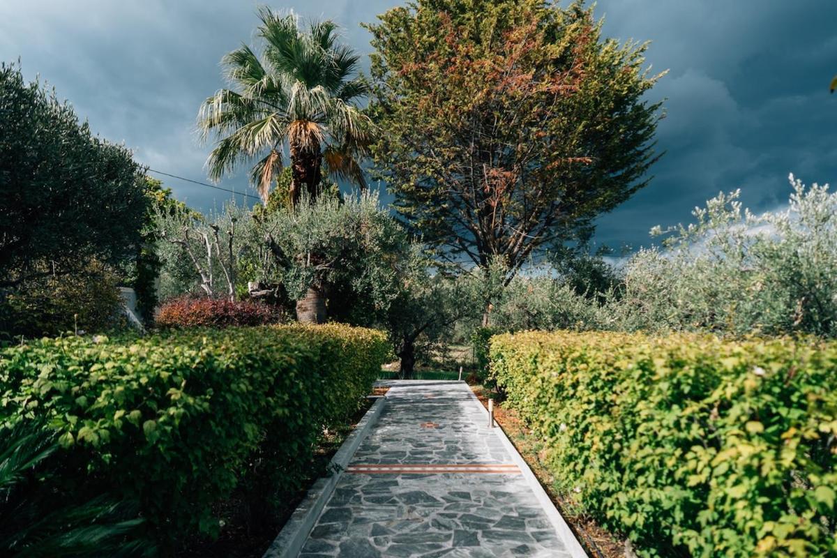 Olive Grove Retreat