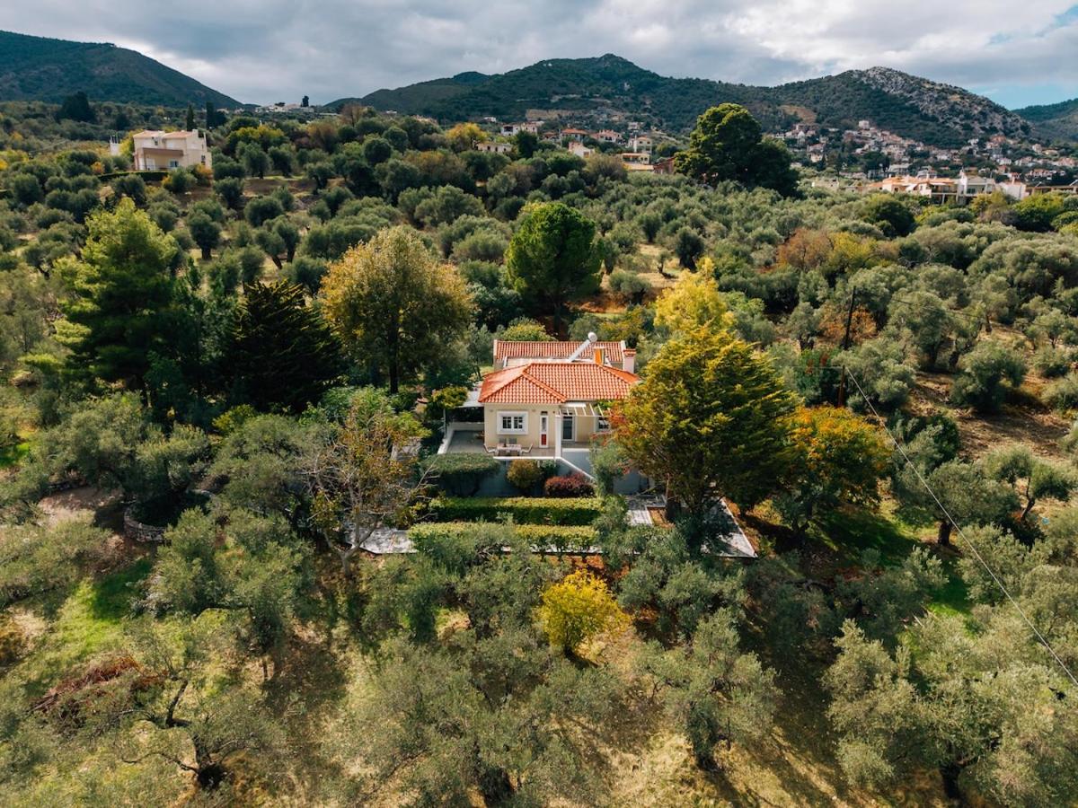 Olive Grove Retreat
