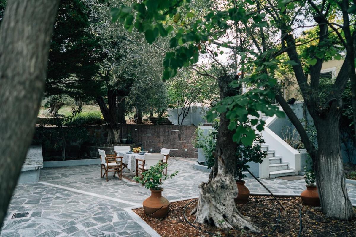 Olive Grove Retreat