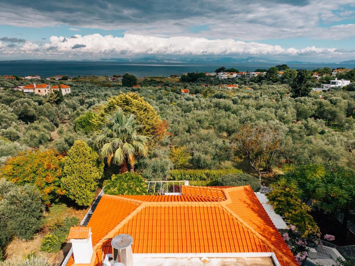 Olive Grove Retreat