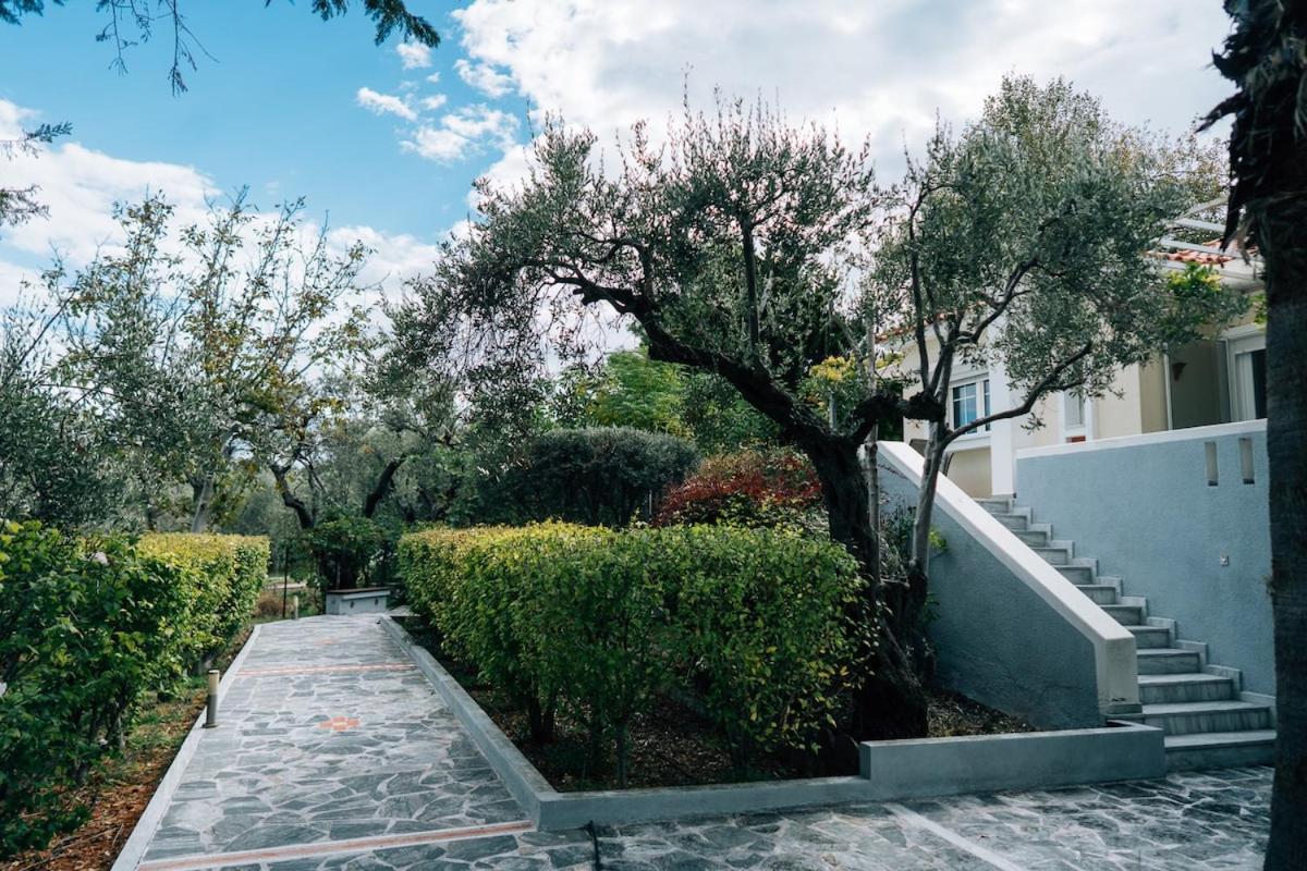 Olive Grove Retreat
