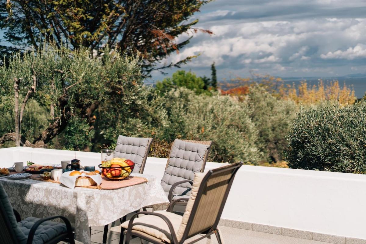 Olive Grove Retreat