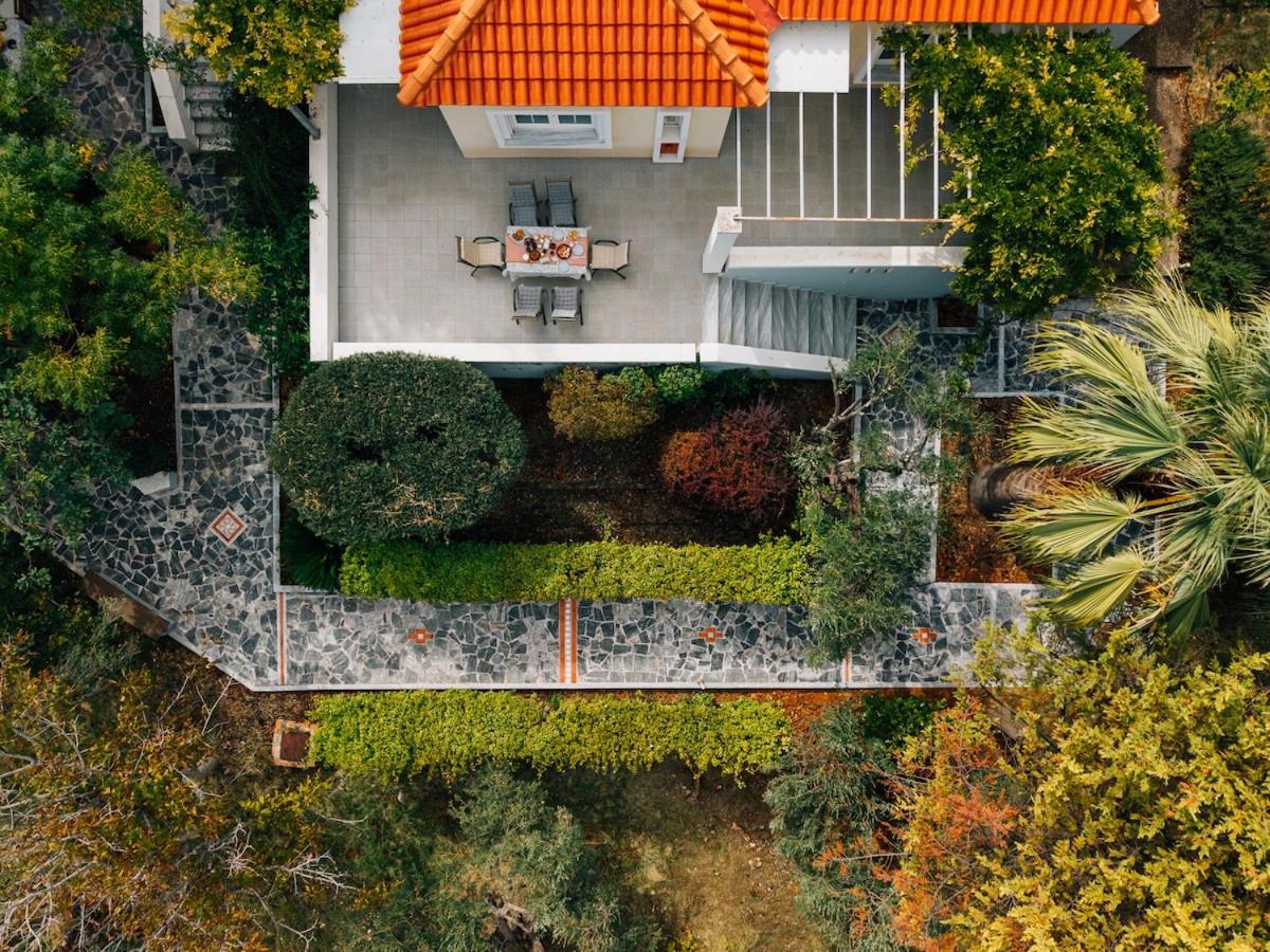 Olive Grove Retreat