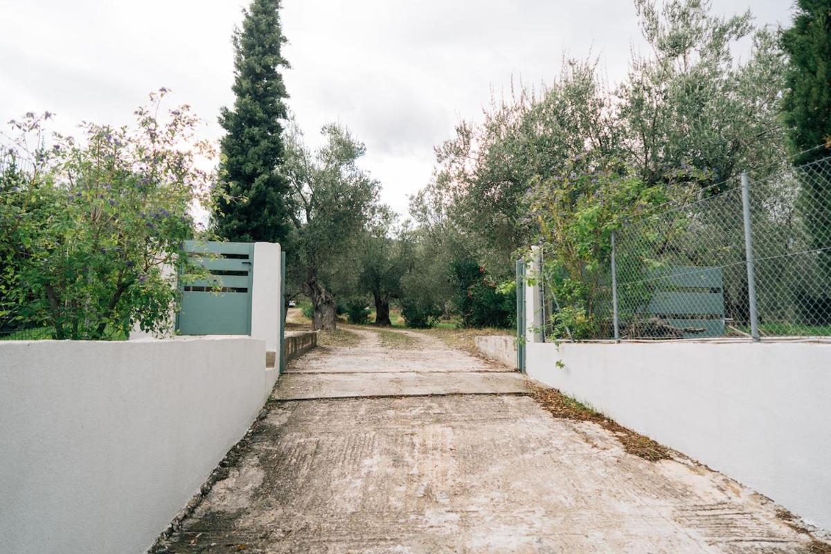 Olive Grove Retreat