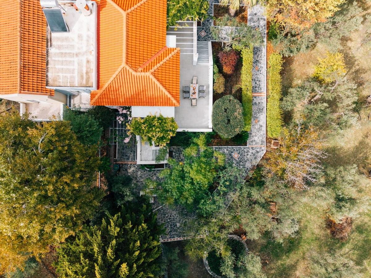 Olive Grove Retreat