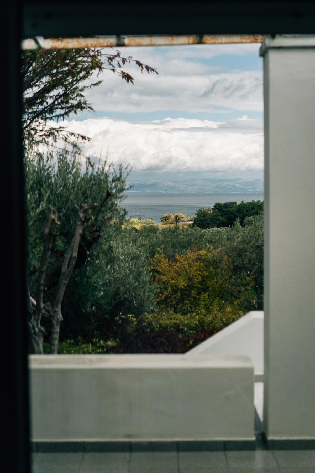 Olive Grove Retreat