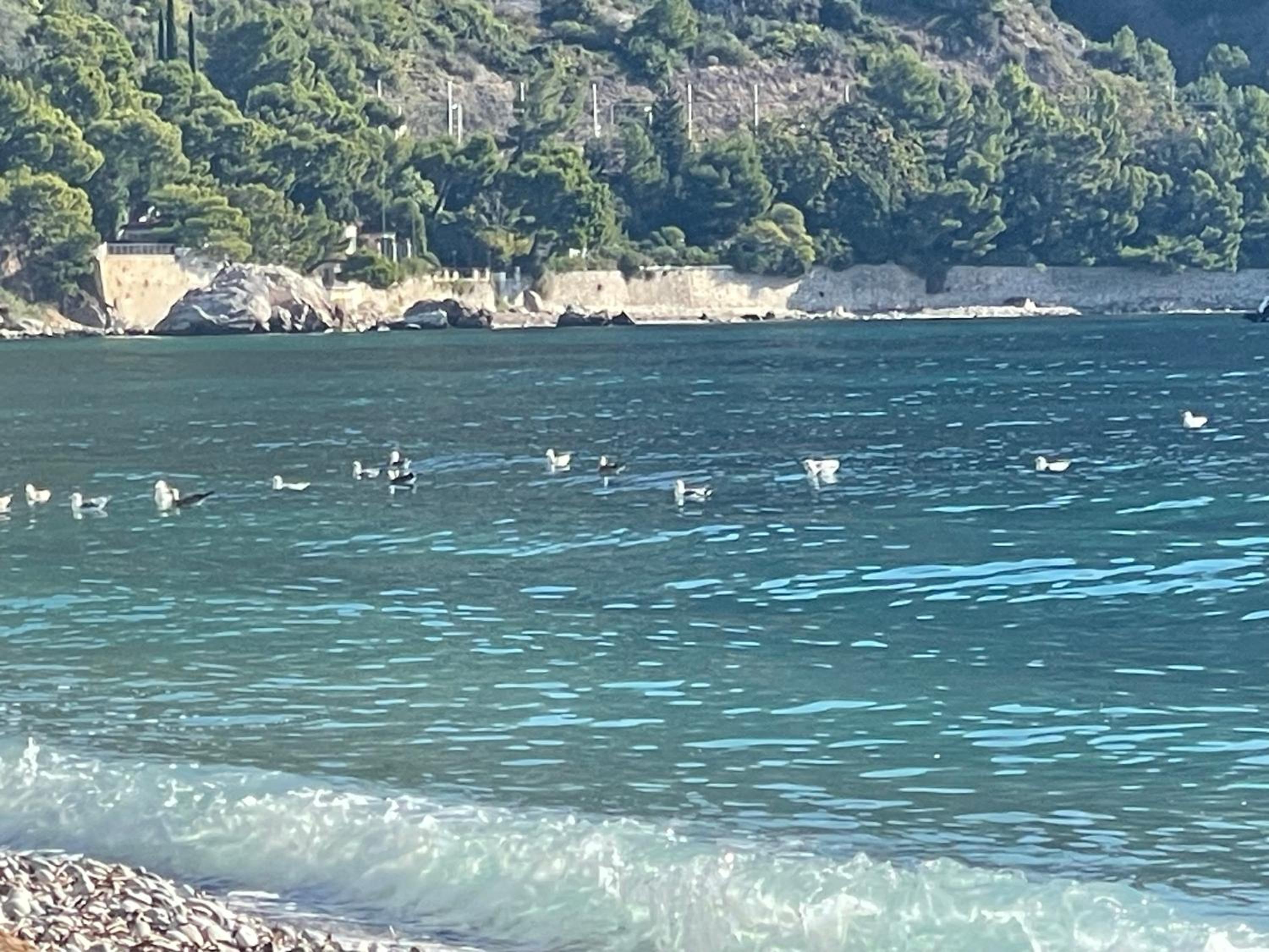 Ezevacances Studio Capuccino vue mer 5 mn plage 7 mn gare Wifi
