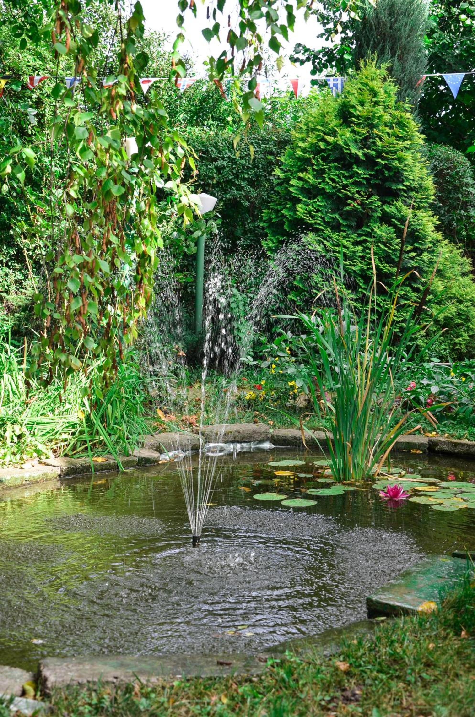 Morava Garden - Village Tourism