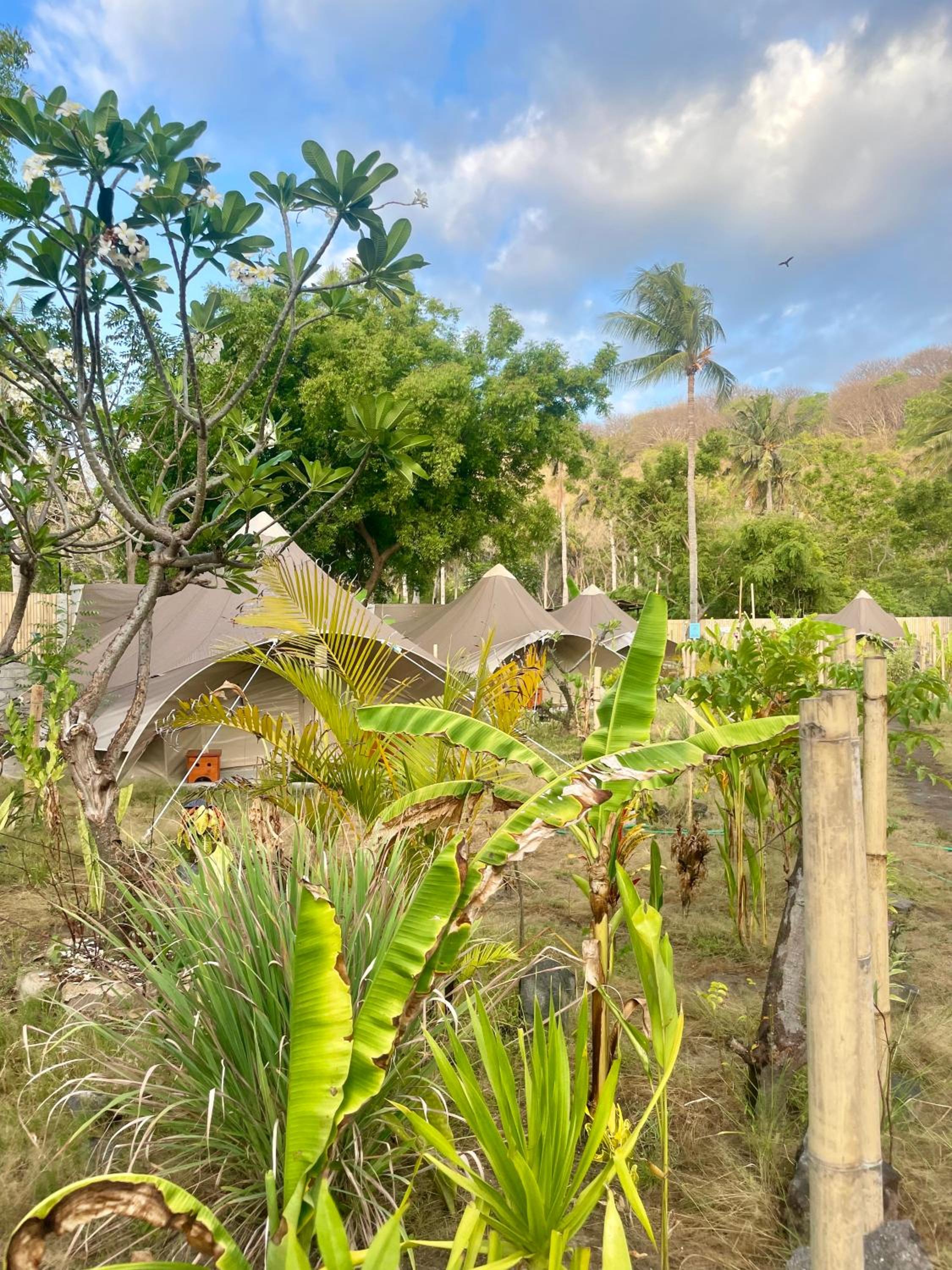 Ubuntu Glamping - Adult Campers Only