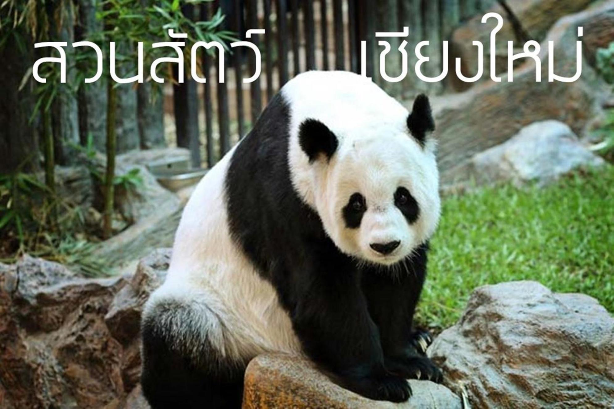 XX GO INN Maya - Nimman Chiang Mai โก อินน์ เมญ่า นิมมาน เชียงใหม่