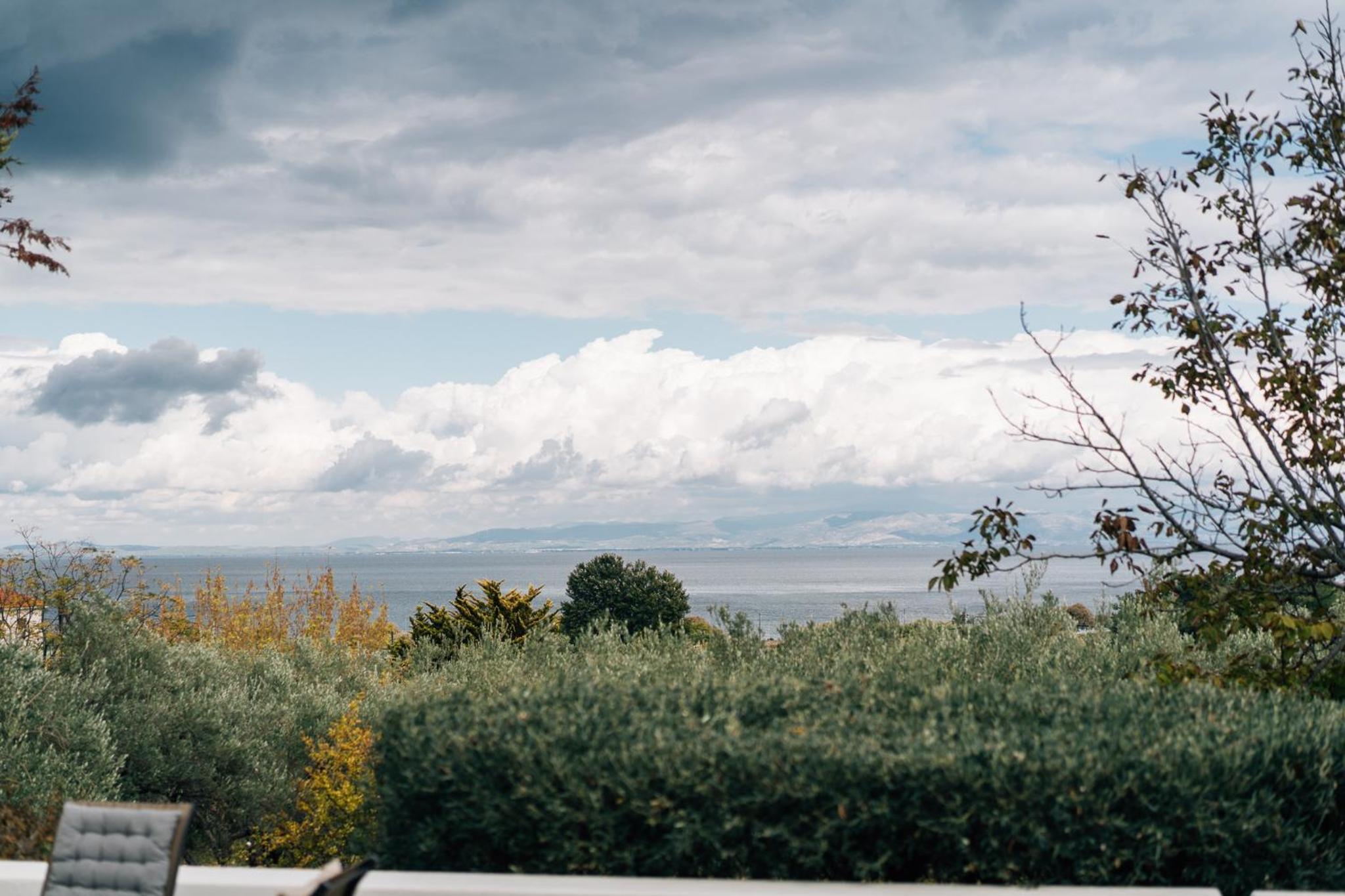 Olive Grove Retreat