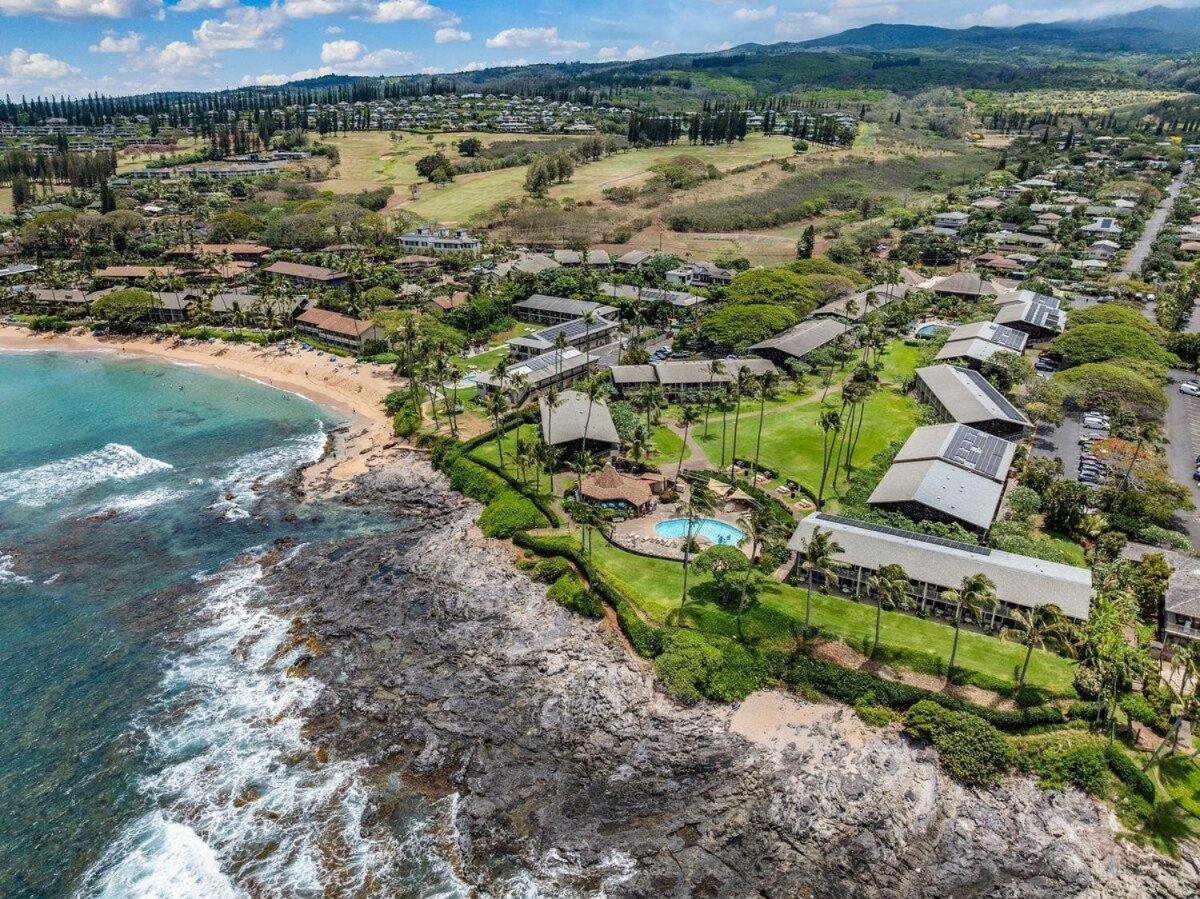 Napili Shores D227 · NS D227 OceanFront Resort w Pool