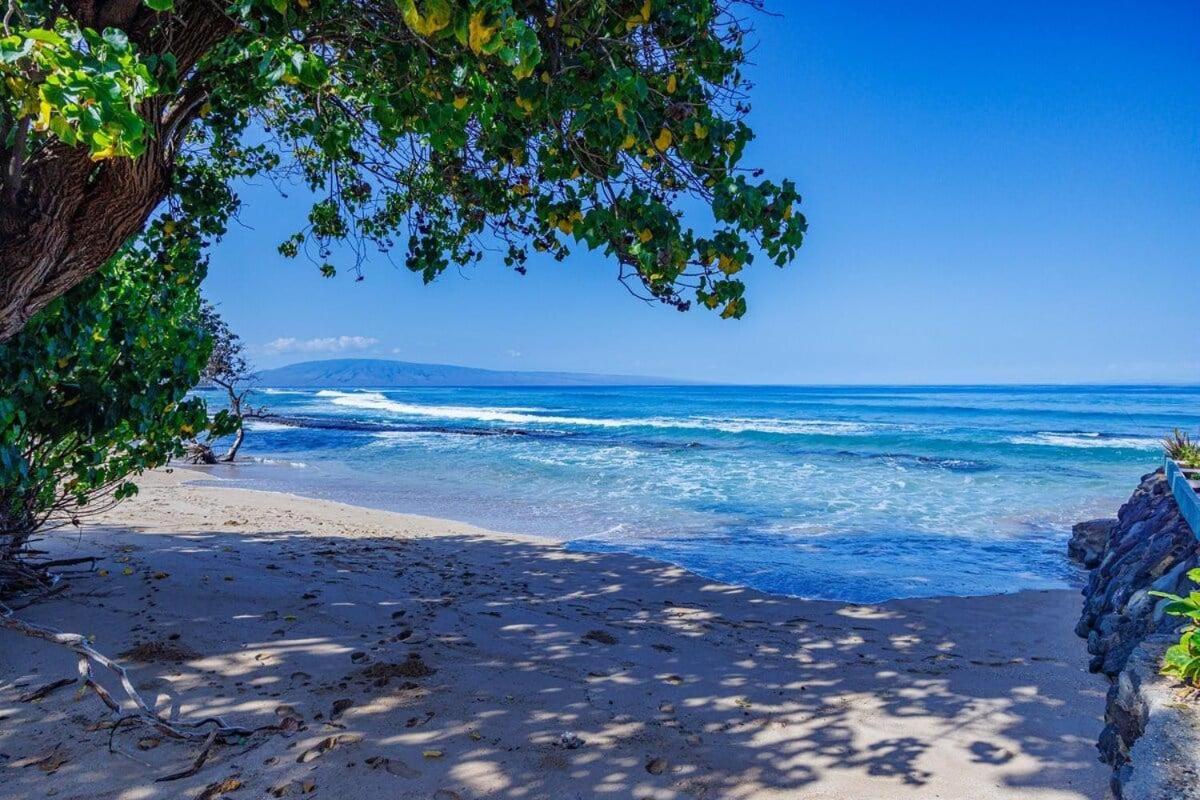 Hale Kai 110 · HKI 110 1BD Condo w Oceanviews and Oceanfront Poo