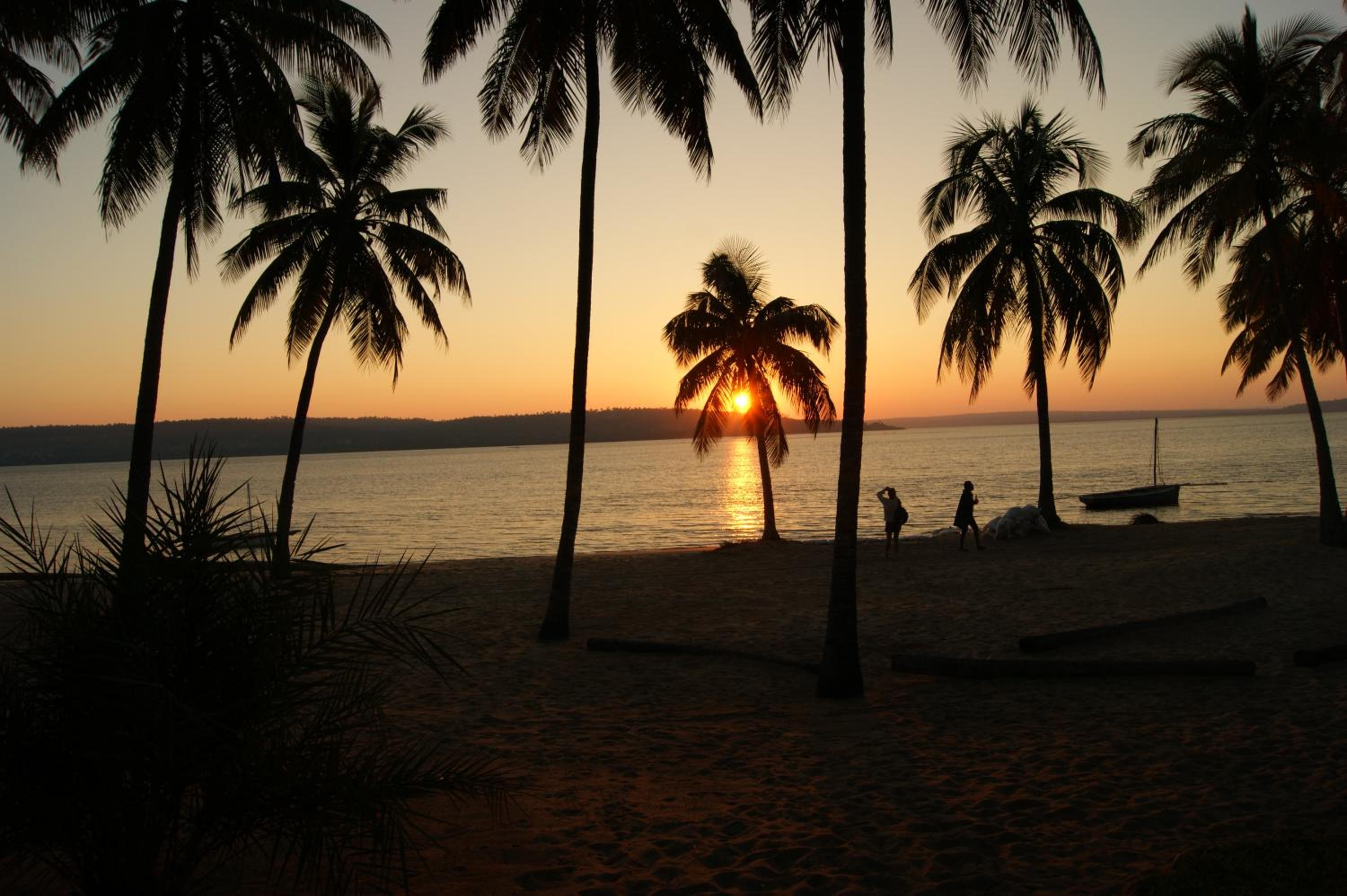 Pura Vida Lodge