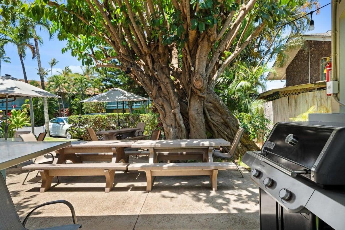 Napili Bay 210 · NB 210 Napili Bay Studio with Direct Ocean View
