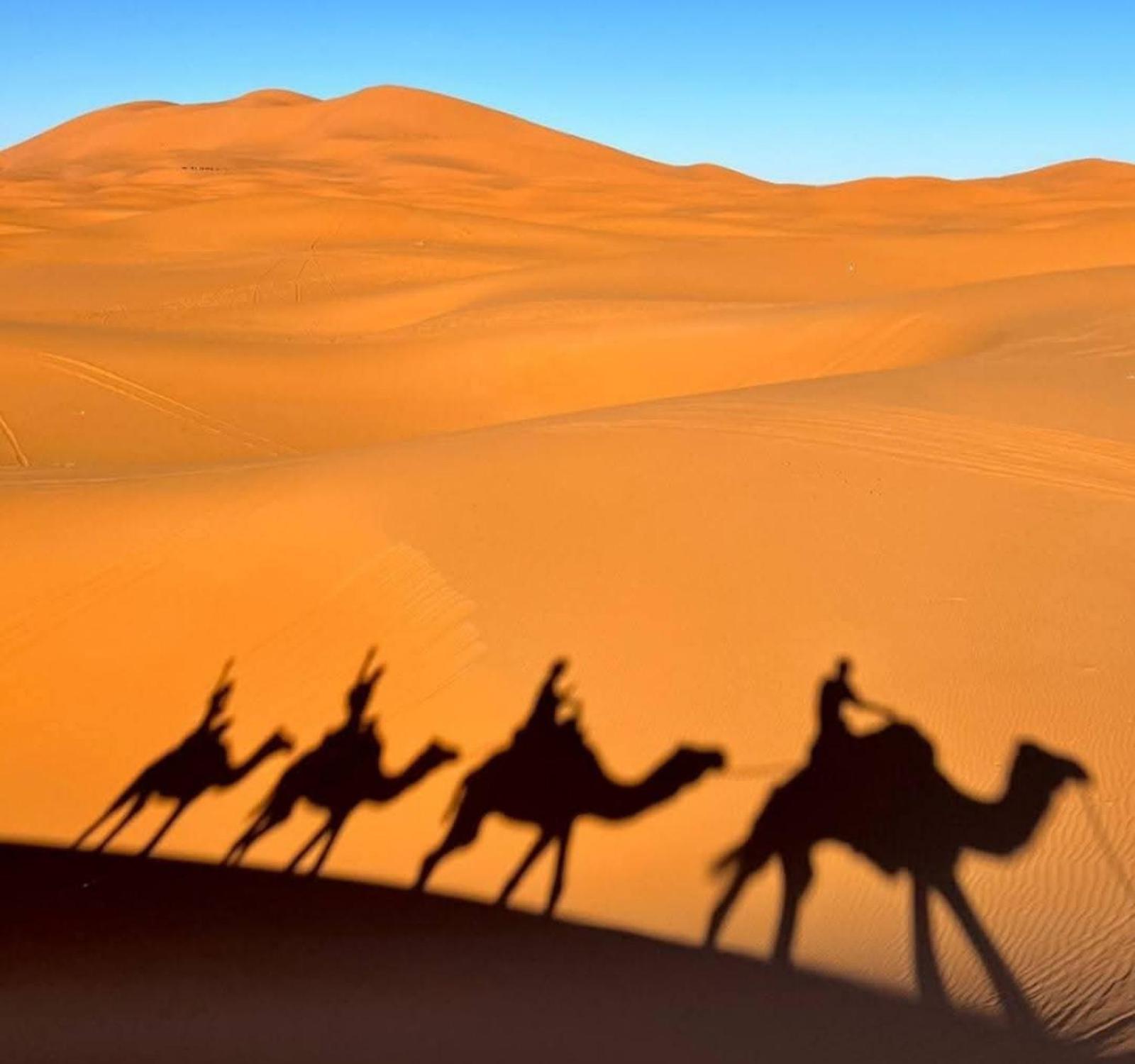 Desert Marhaba luxury Camp