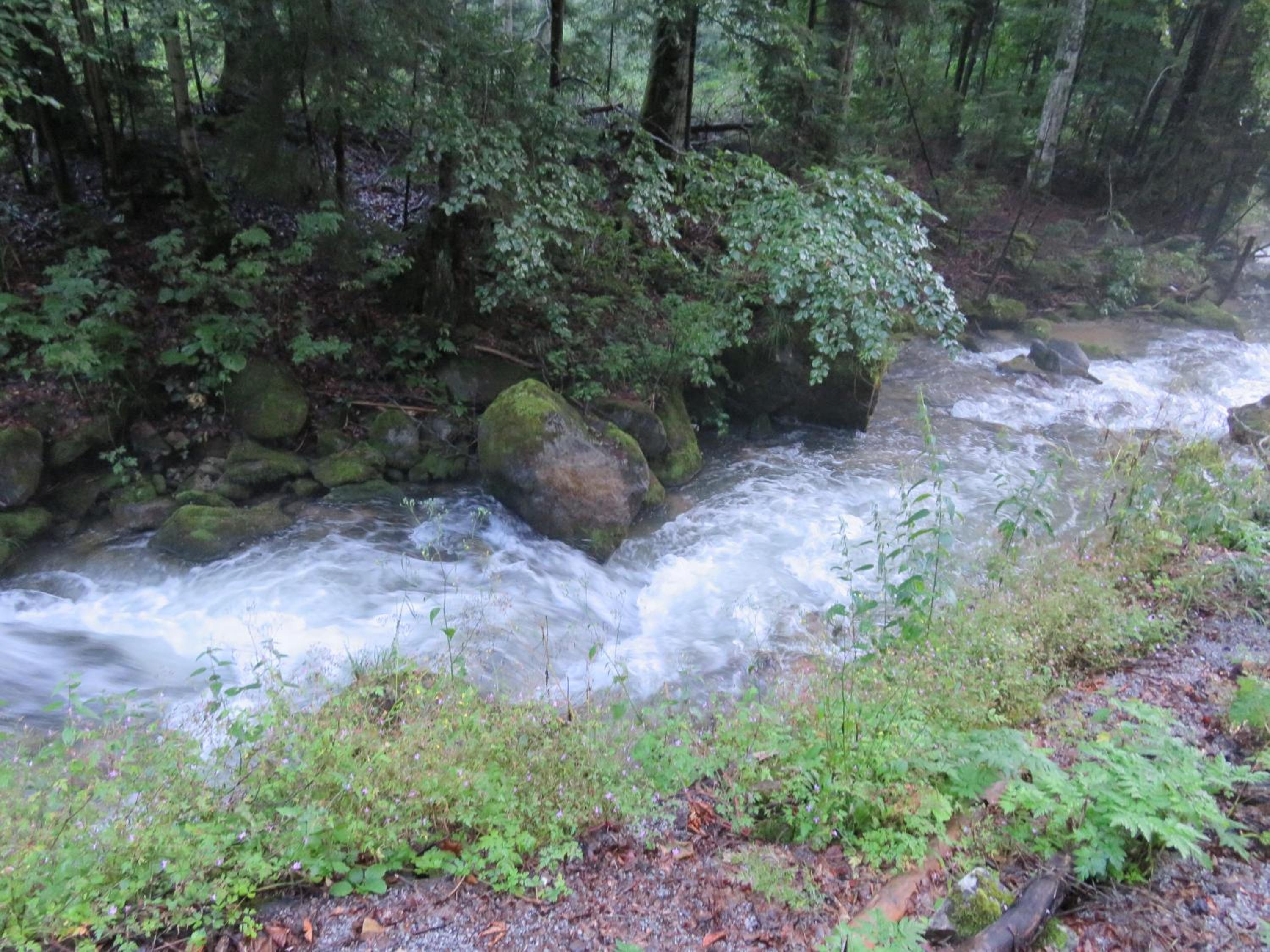 Photo 34