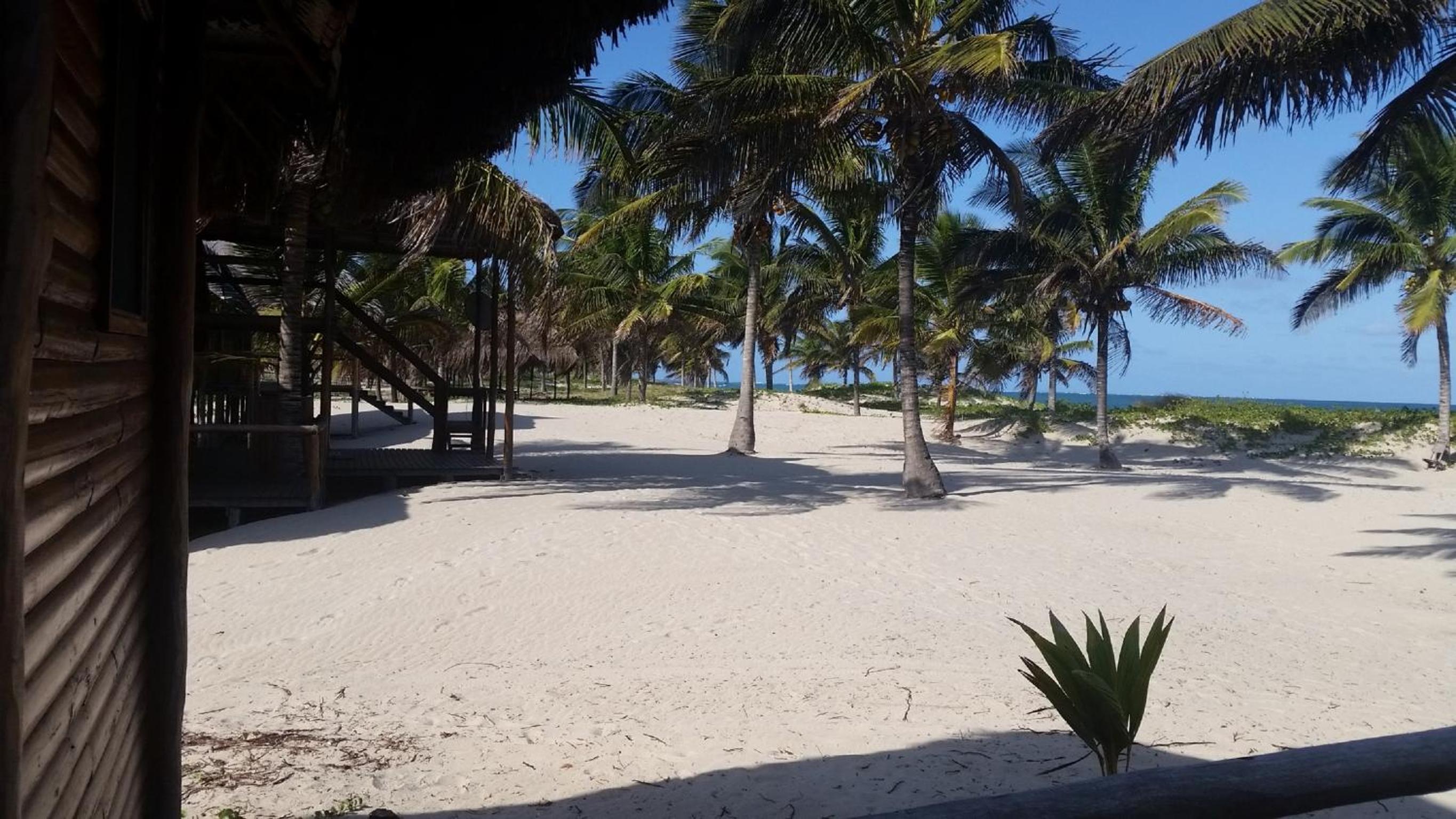 Pura Vida Lodge