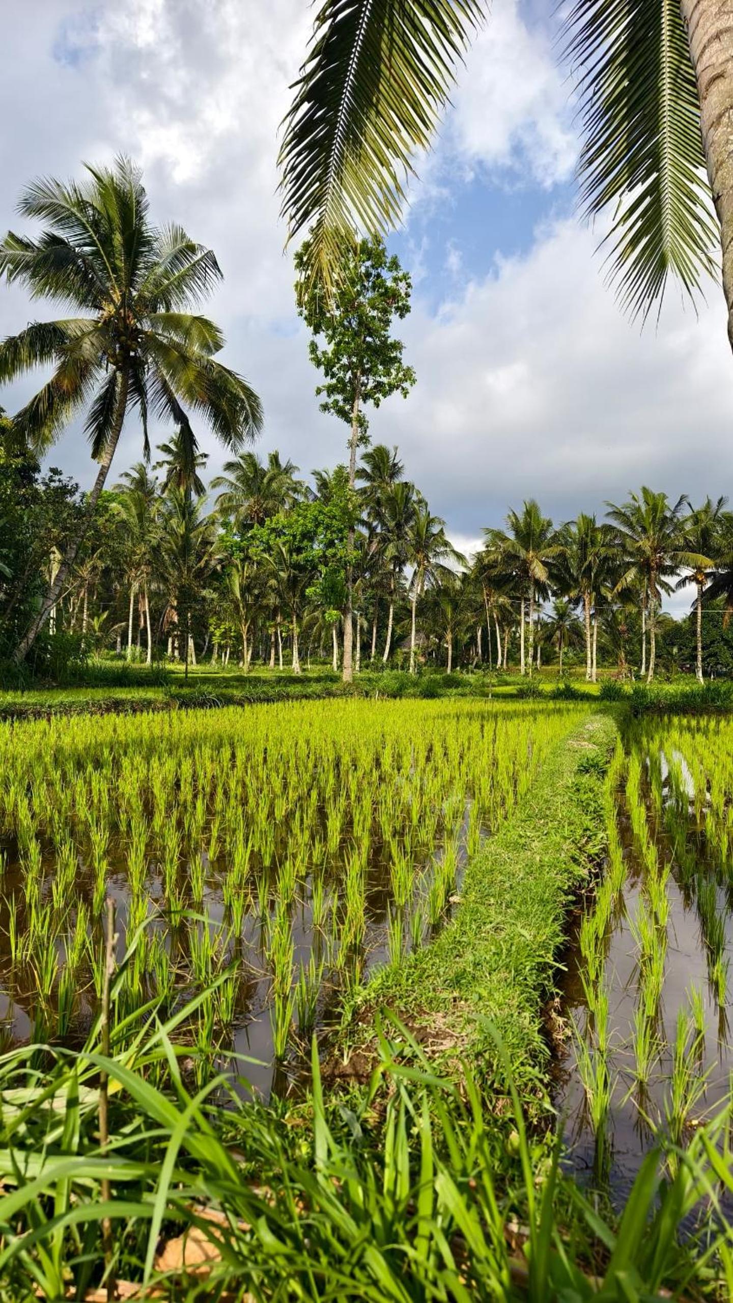 Lentera Lombok