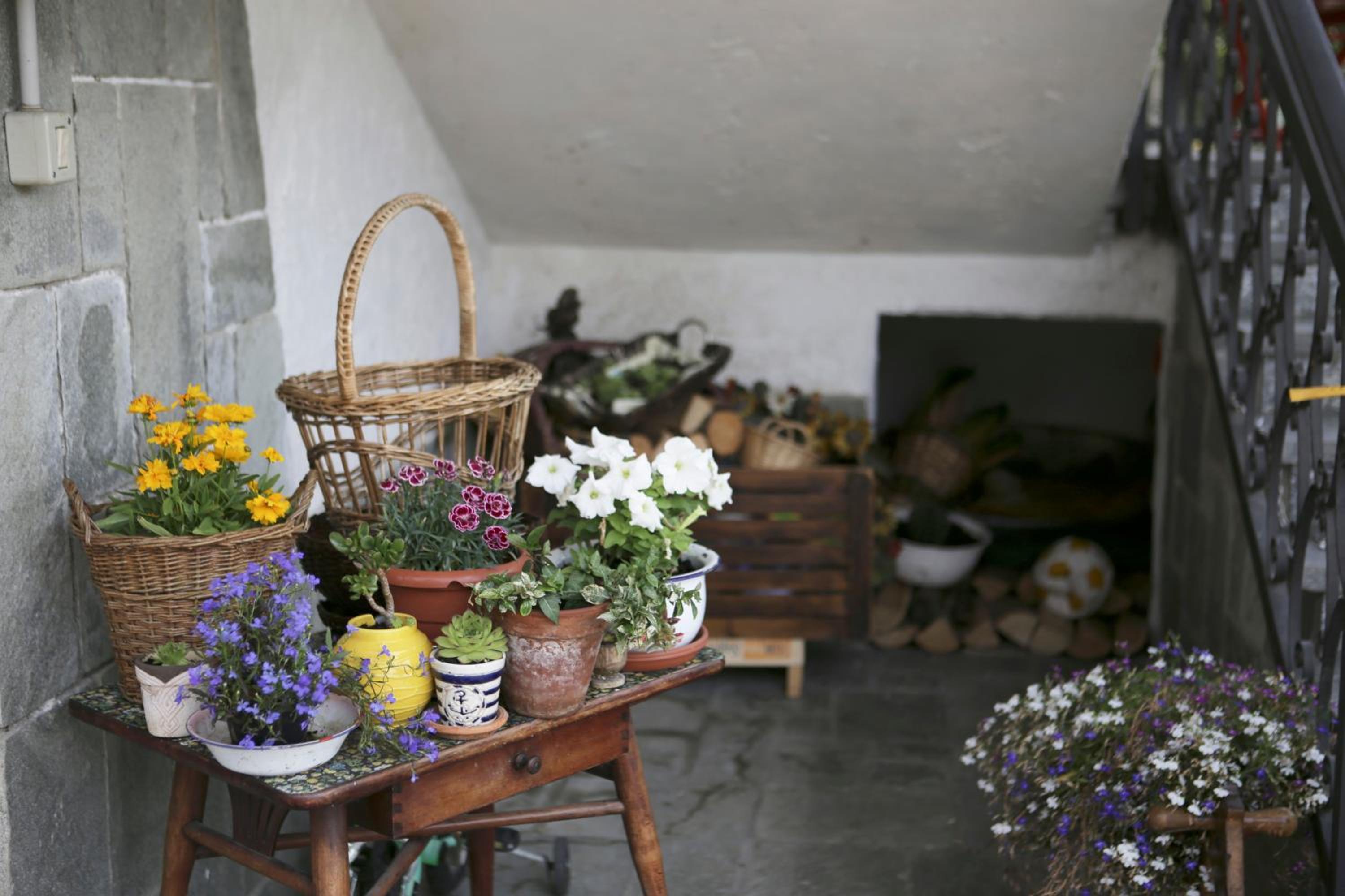 B&B La Gerbolina